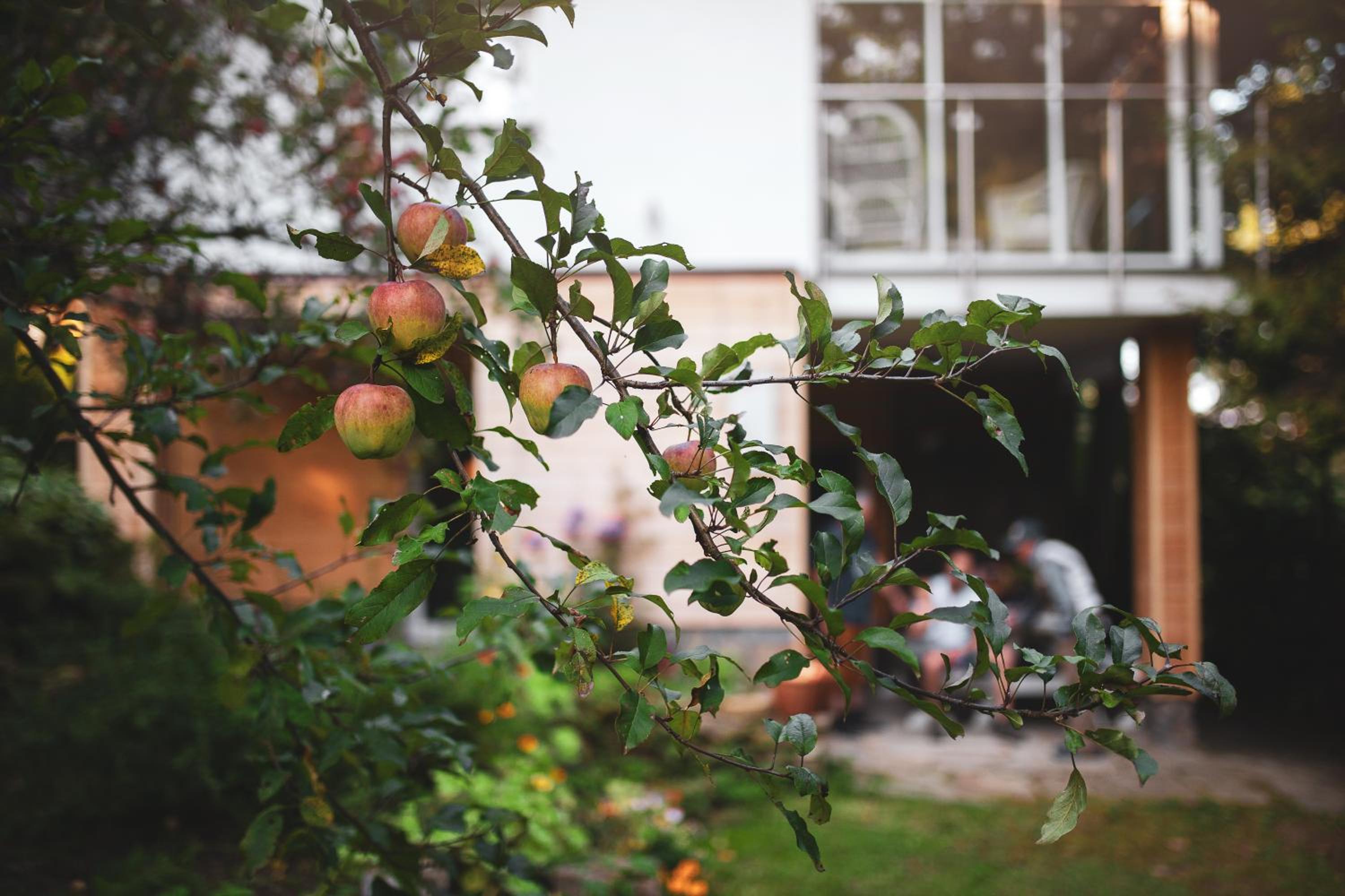 Pasieka - Dom Wypoczynkowy - Property Image 11