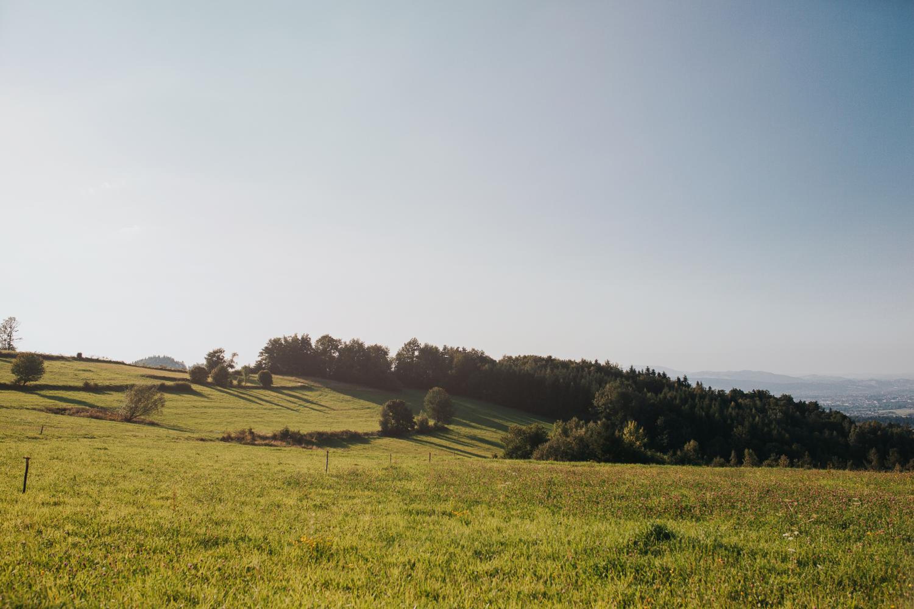 Pasieka - Dom Wypoczynkowy - Property Image 19