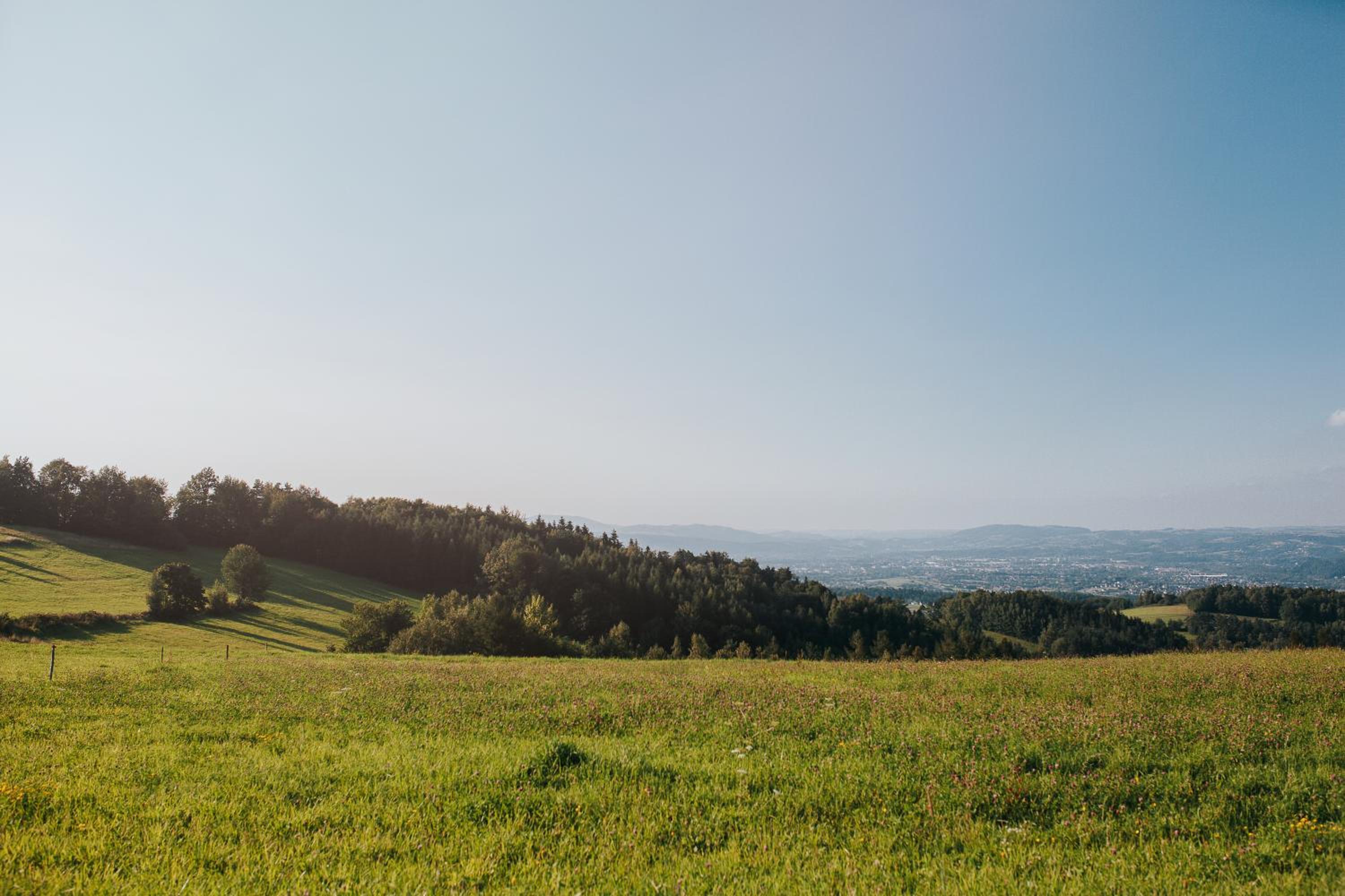 Pasieka - Dom Wypoczynkowy - Property Image 20