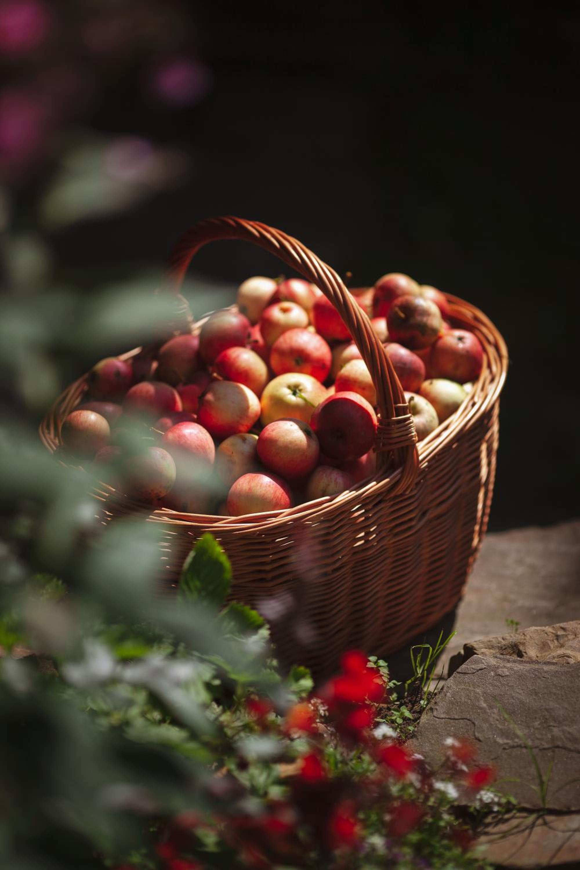 Pasieka - Dom Wypoczynkowy - Property Image 39