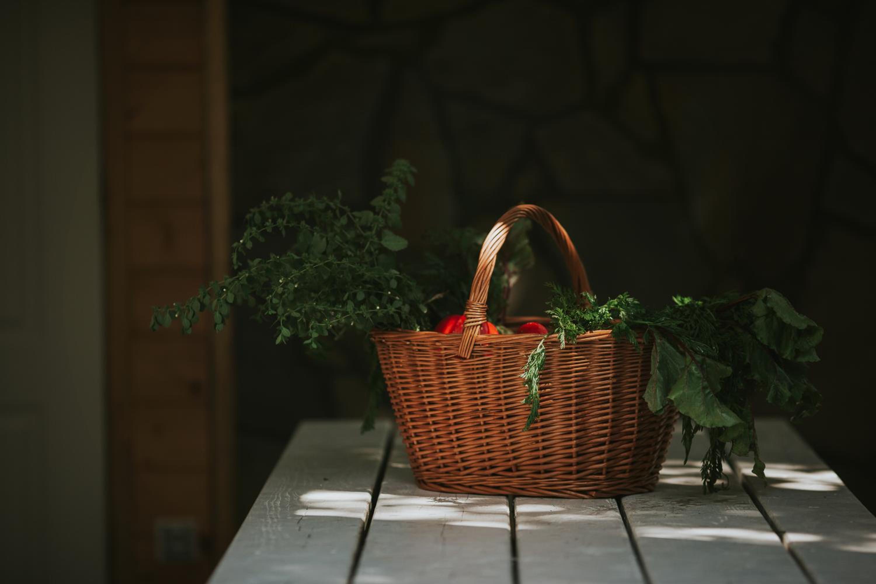 Pasieka - Dom Wypoczynkowy - Property Image 13