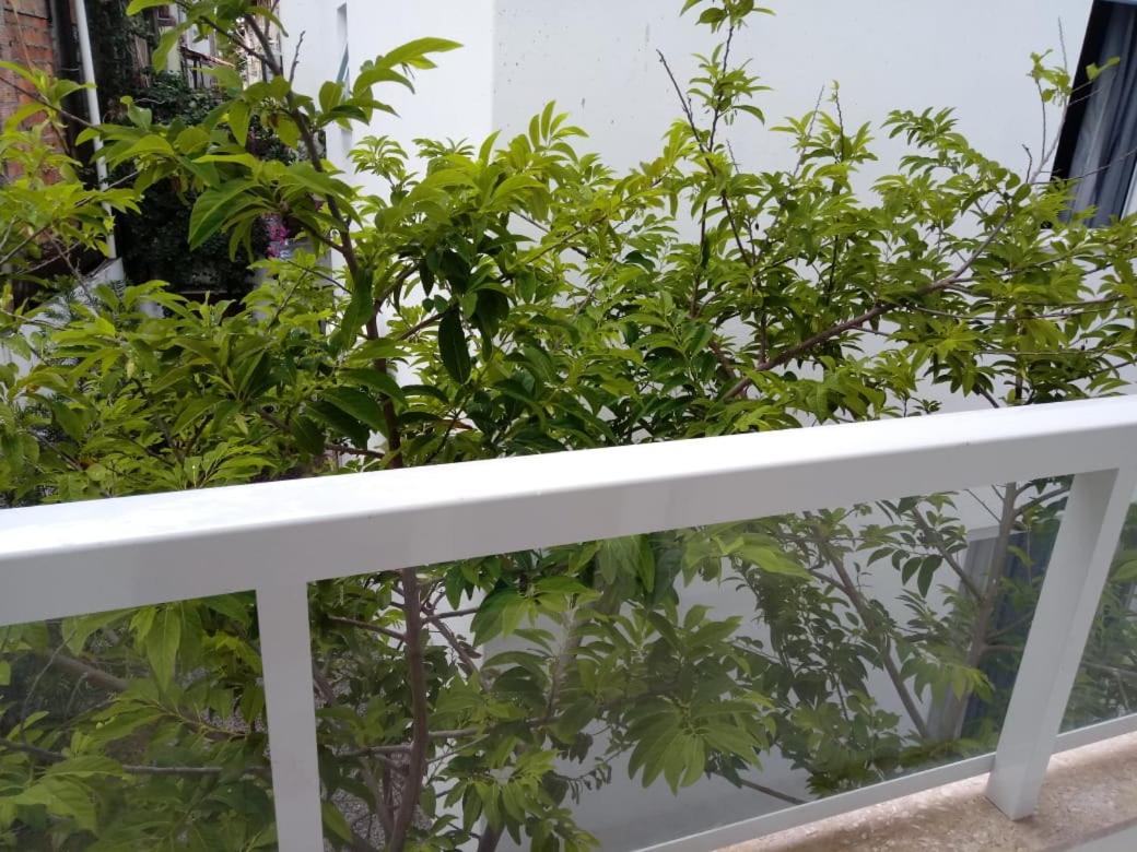 Apartamentos Juliel