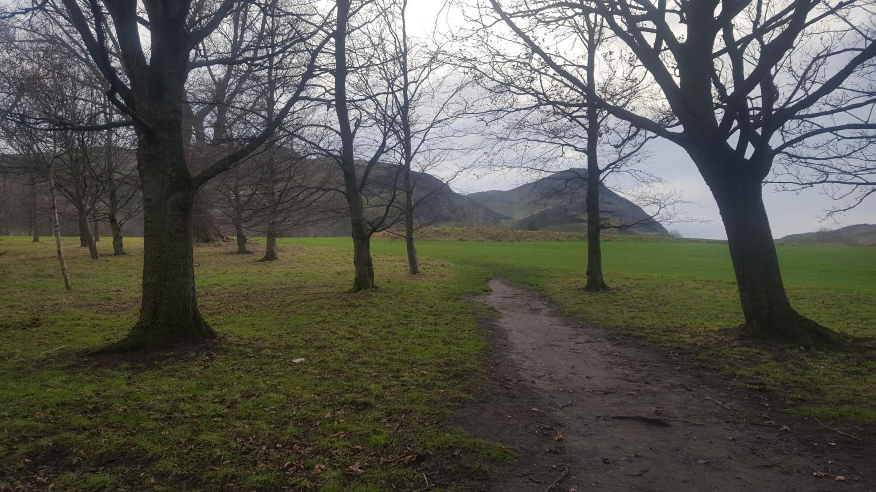 Holyrood Park Apartment view 3