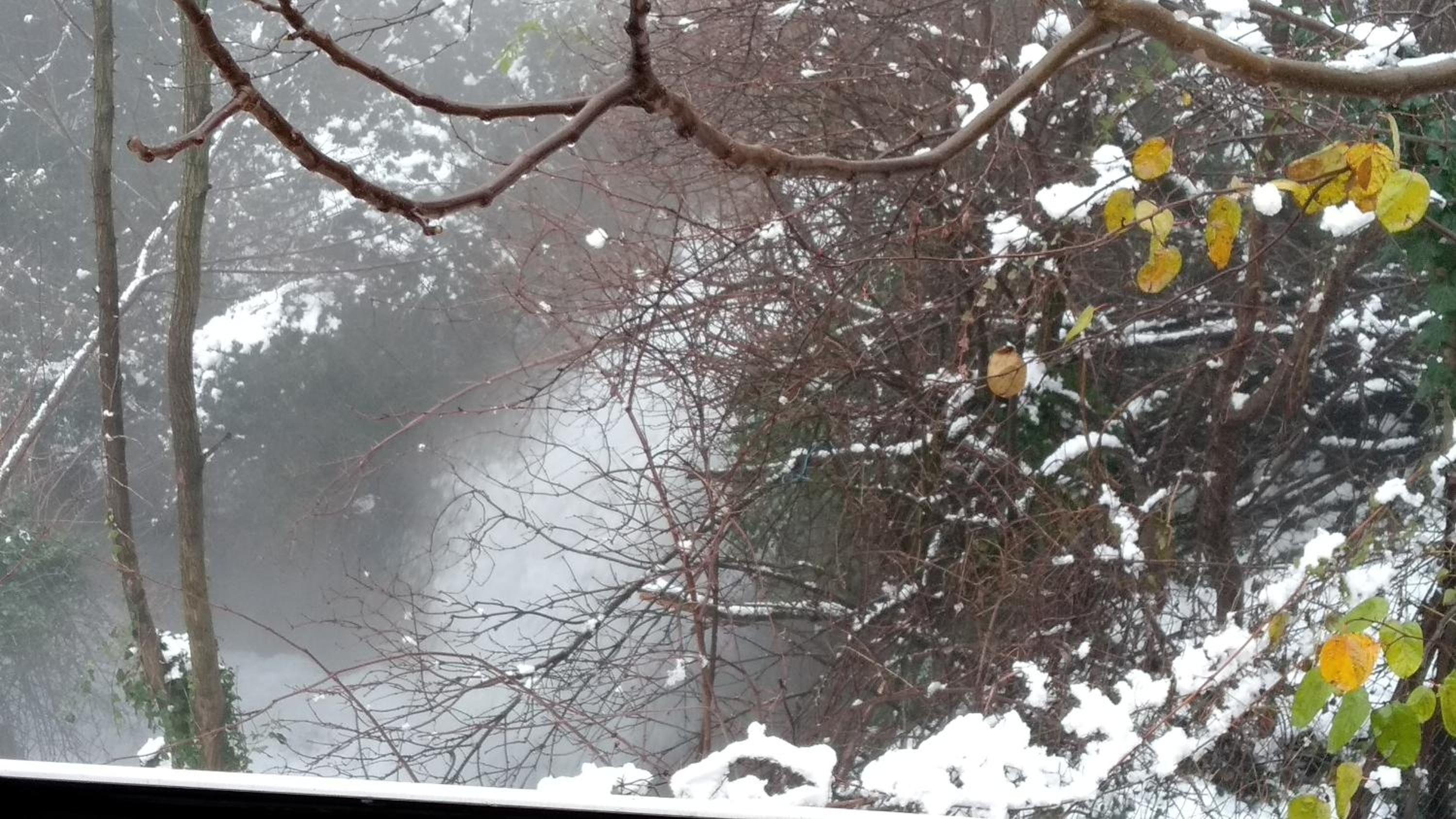 Photo 80