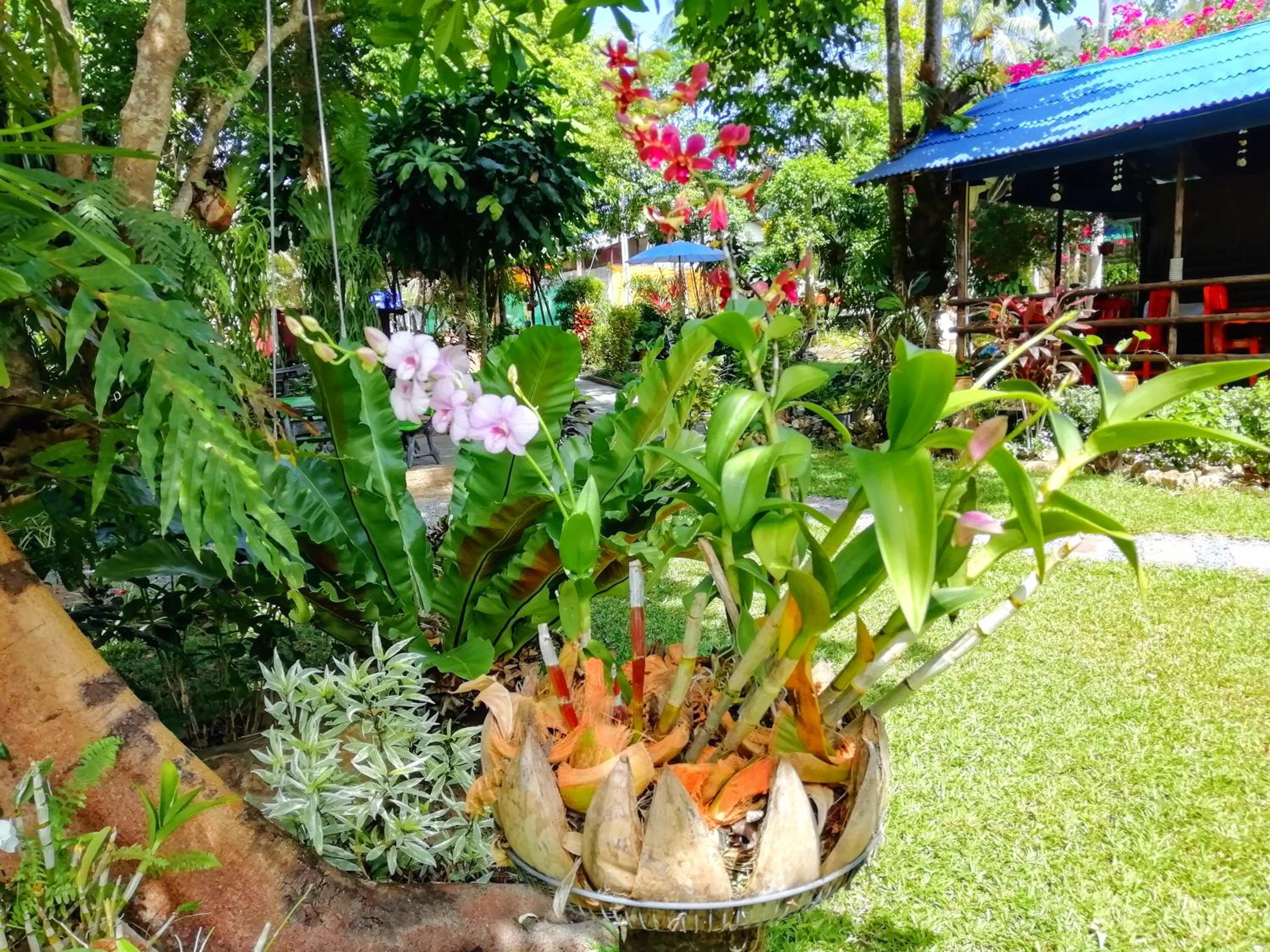 Macura Resort
