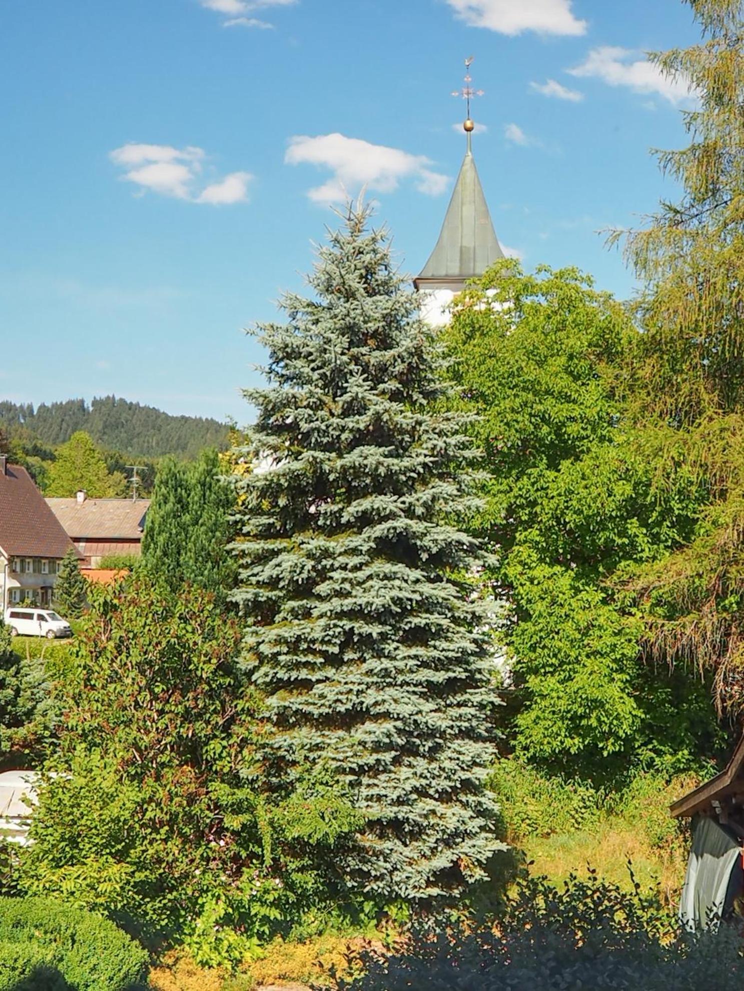 Landgasthof Zum Schwarzen Grat