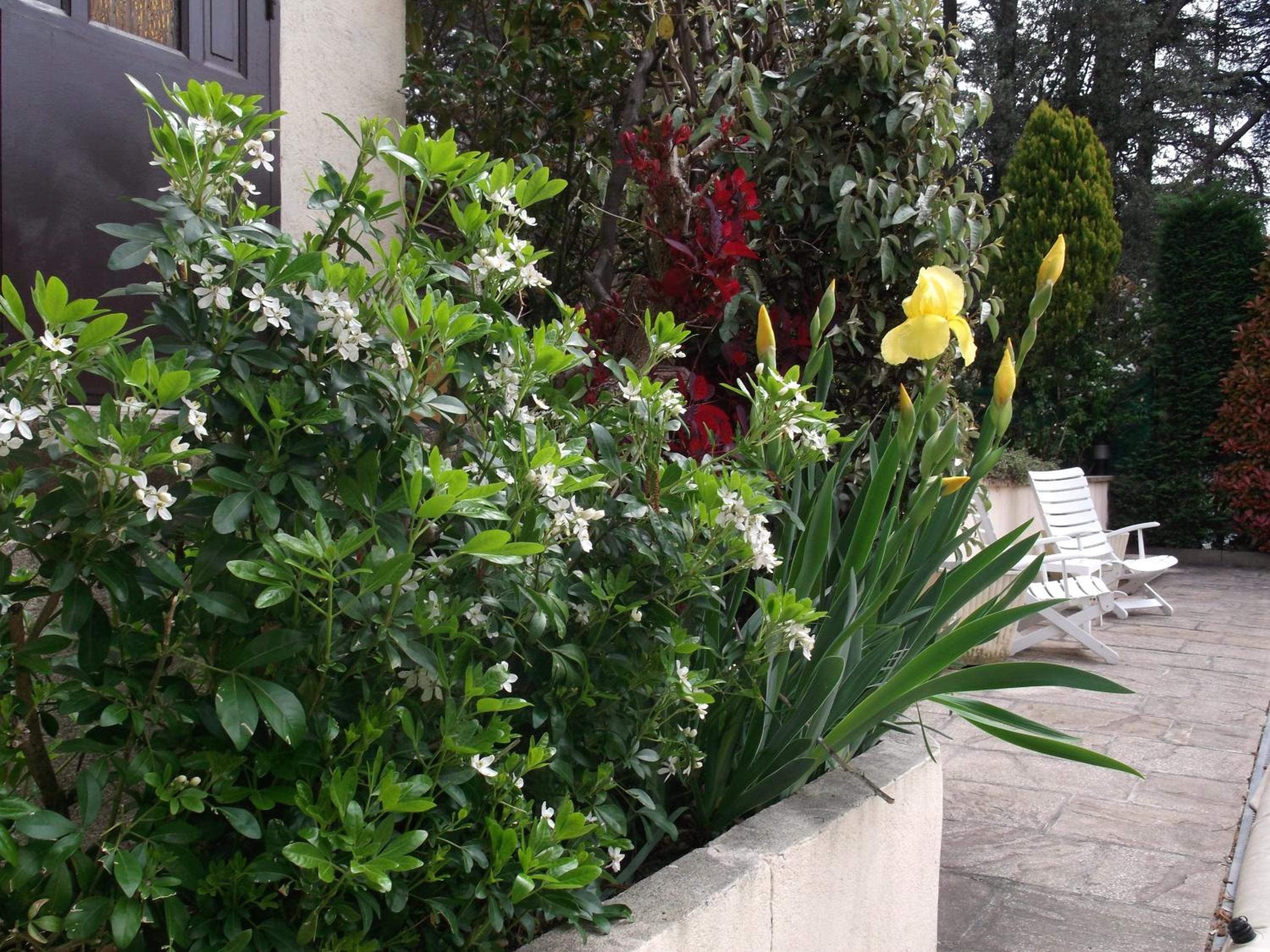 Photo 17