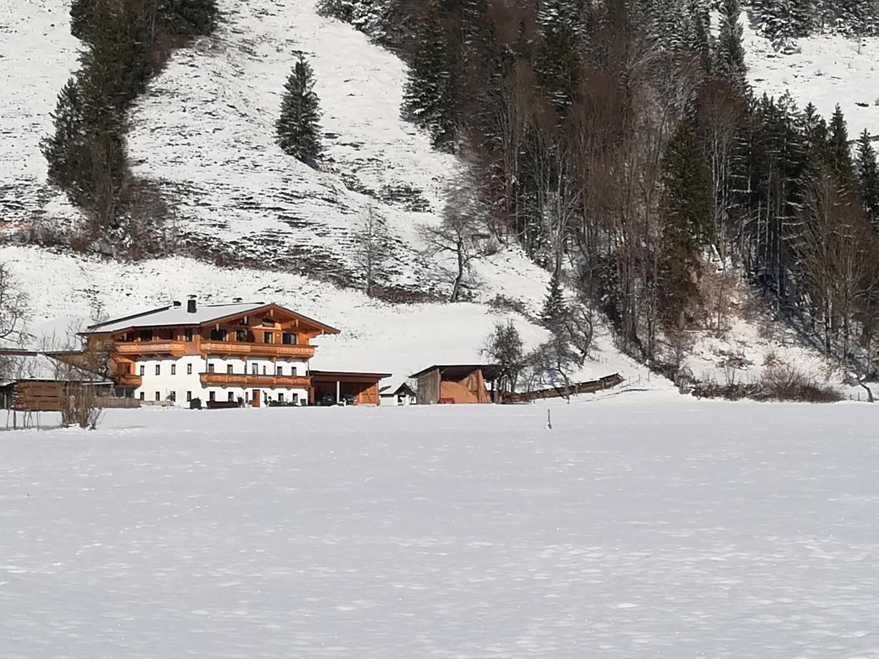BIO- Bauernhof Obermaurach