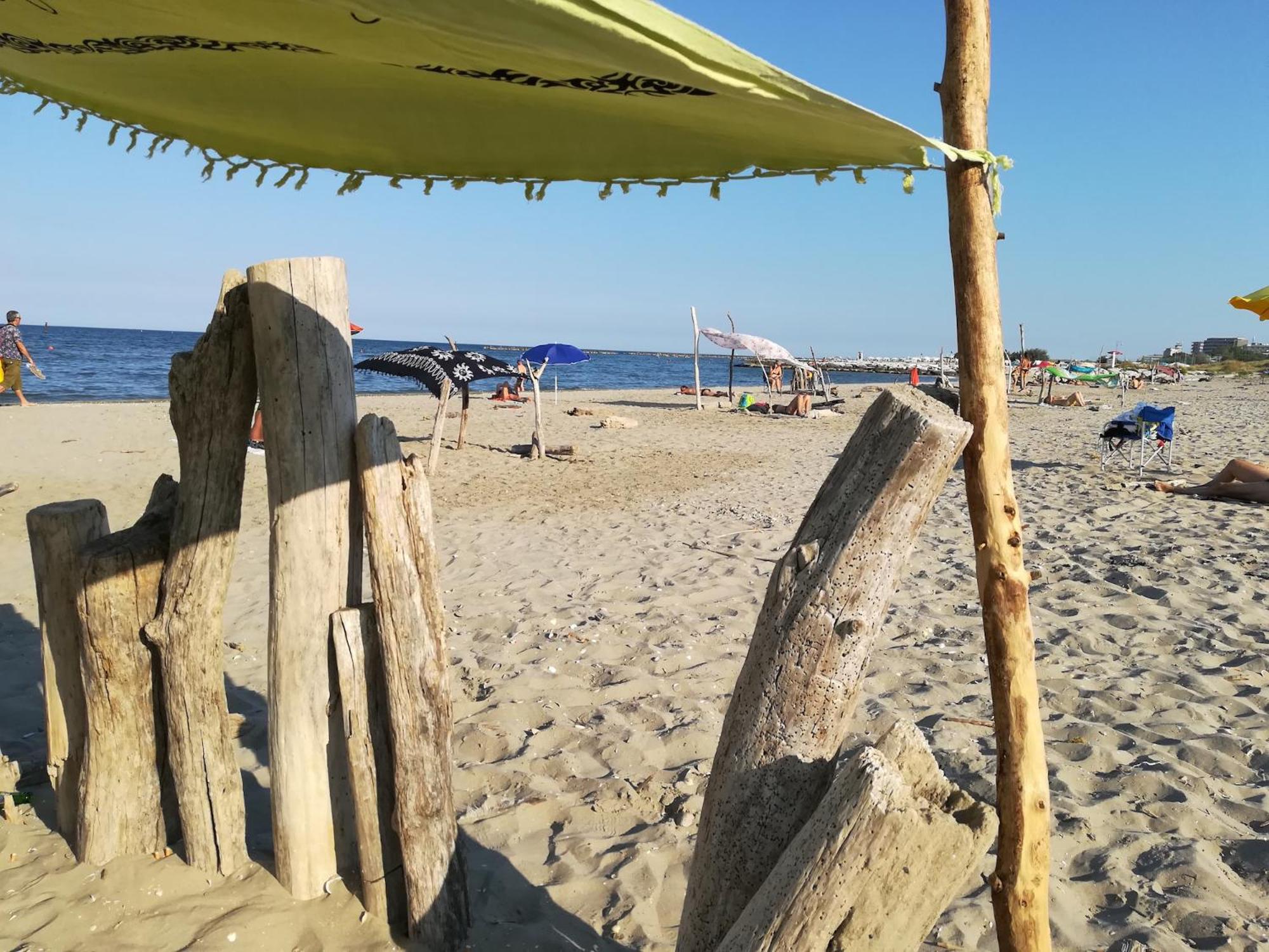 Photo 56