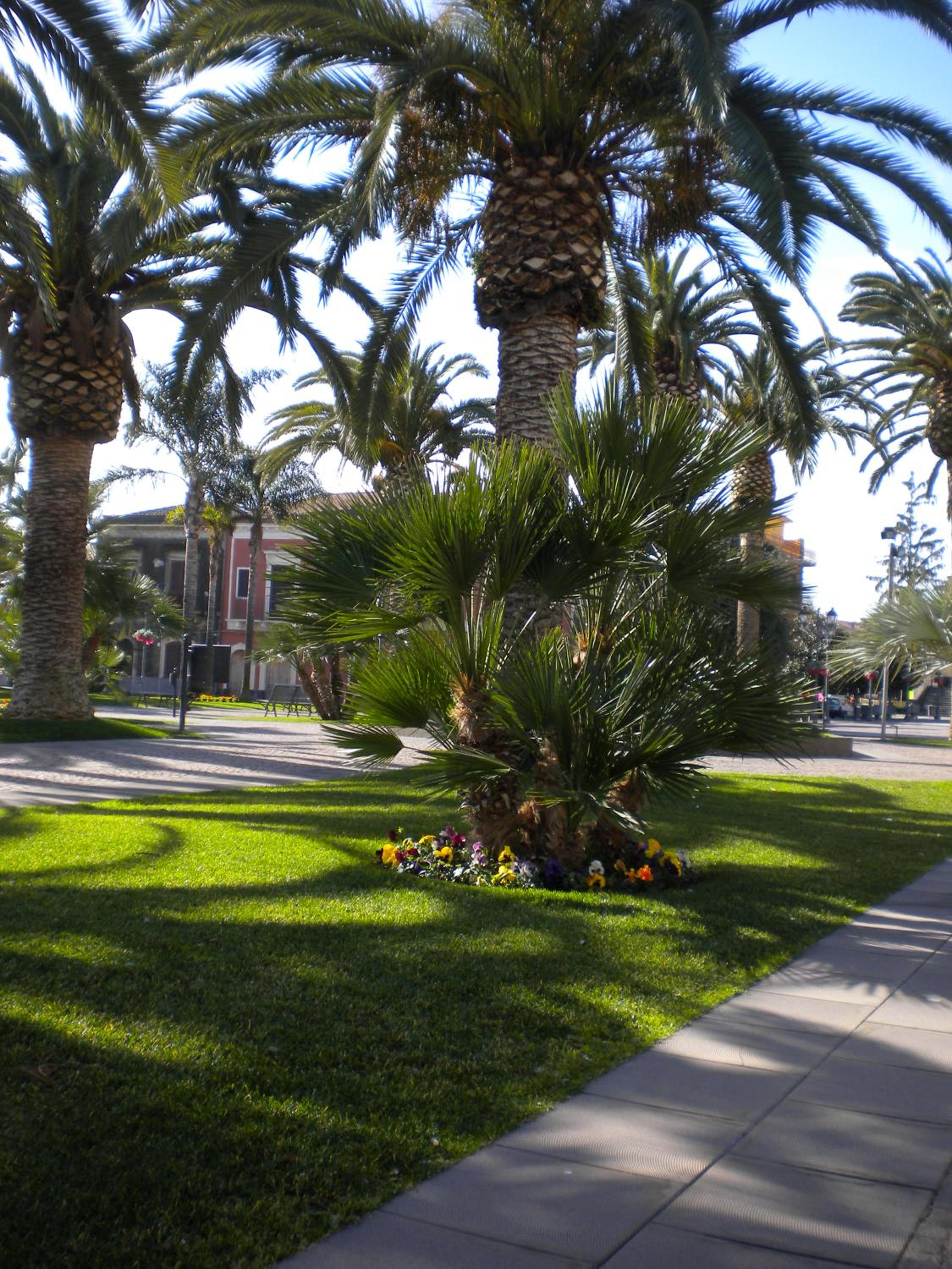 Photo 46