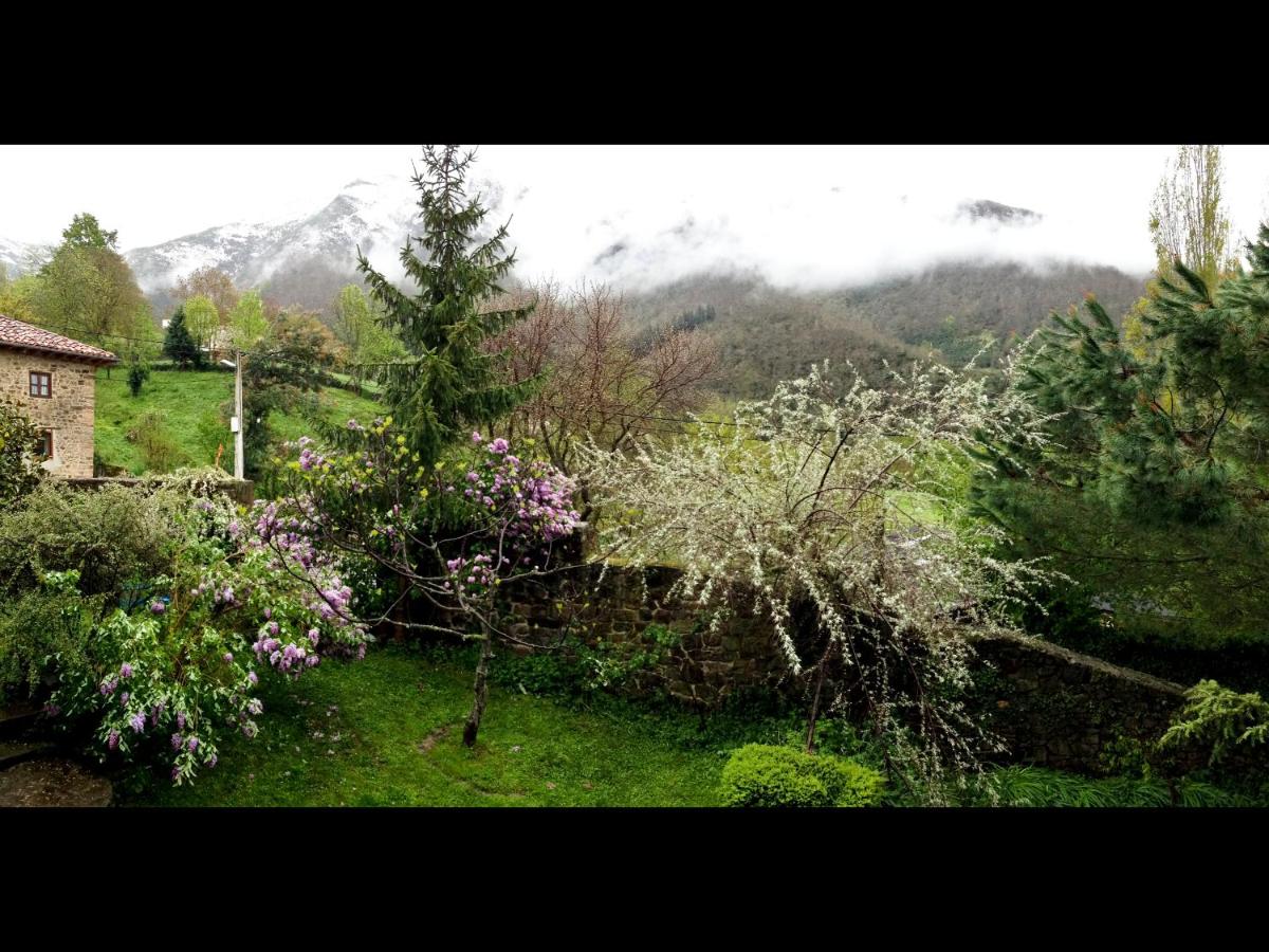 Posada de Tollo