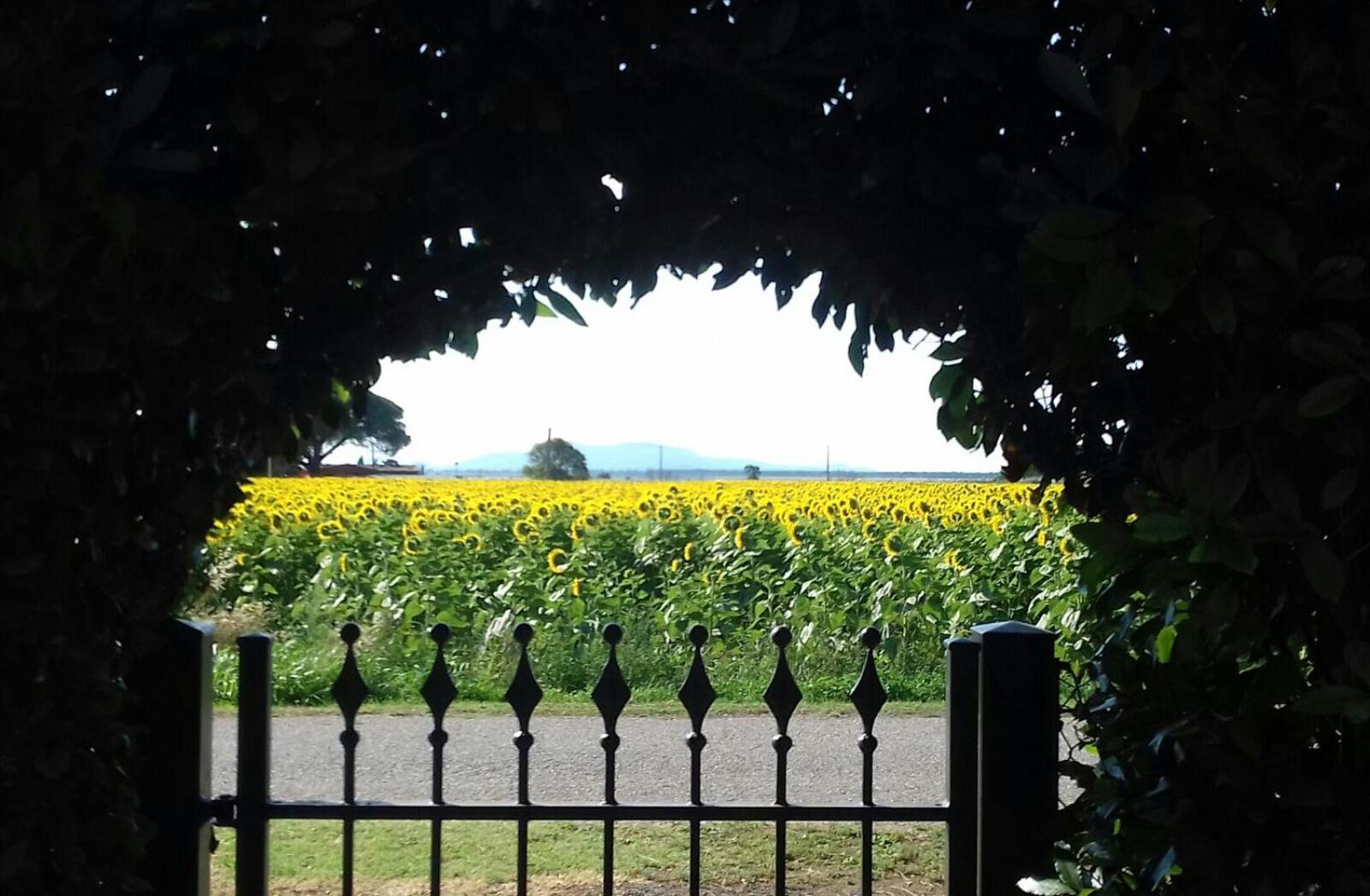 Agriturismo Bocci