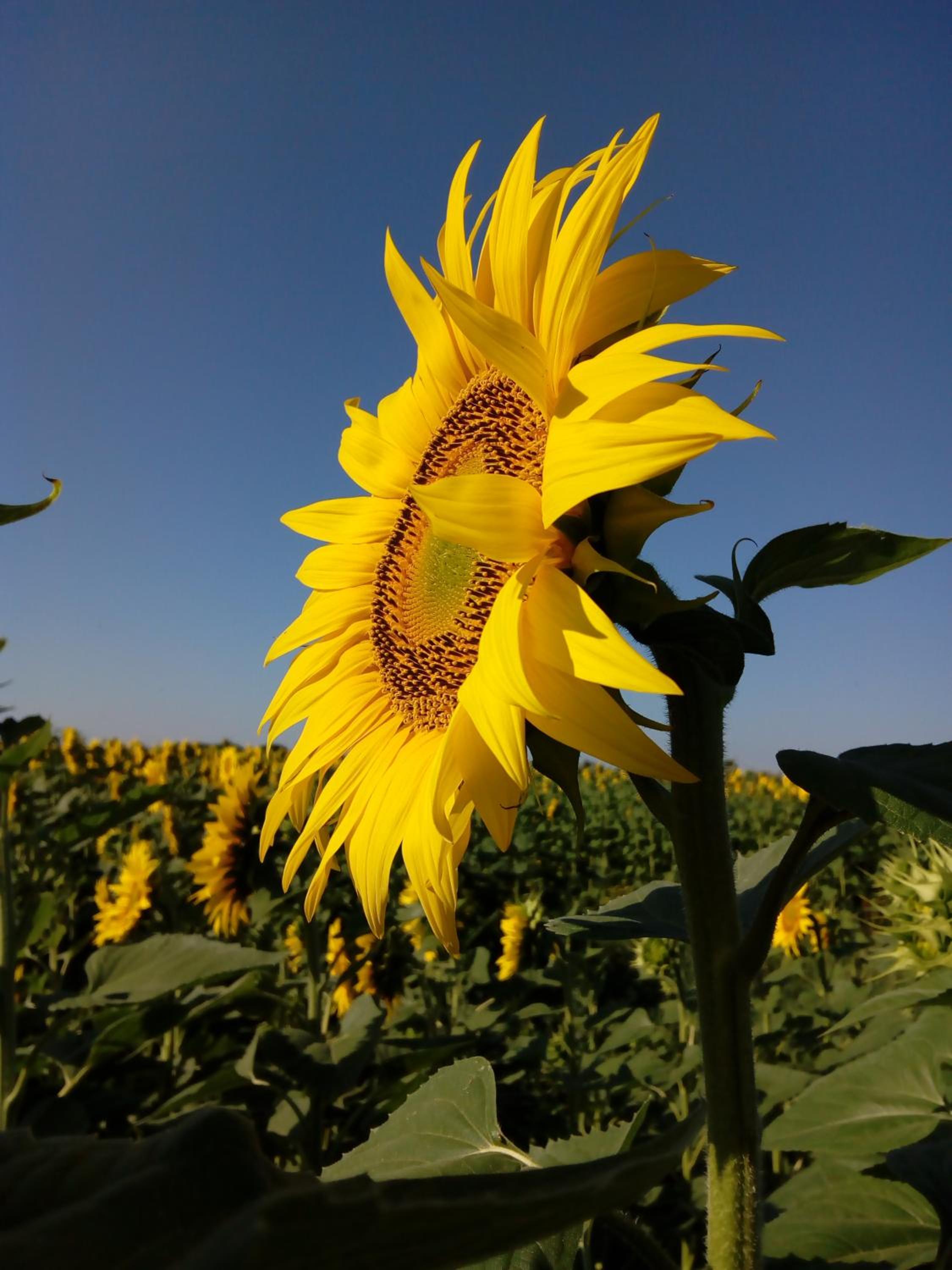Agriturismo Bocci