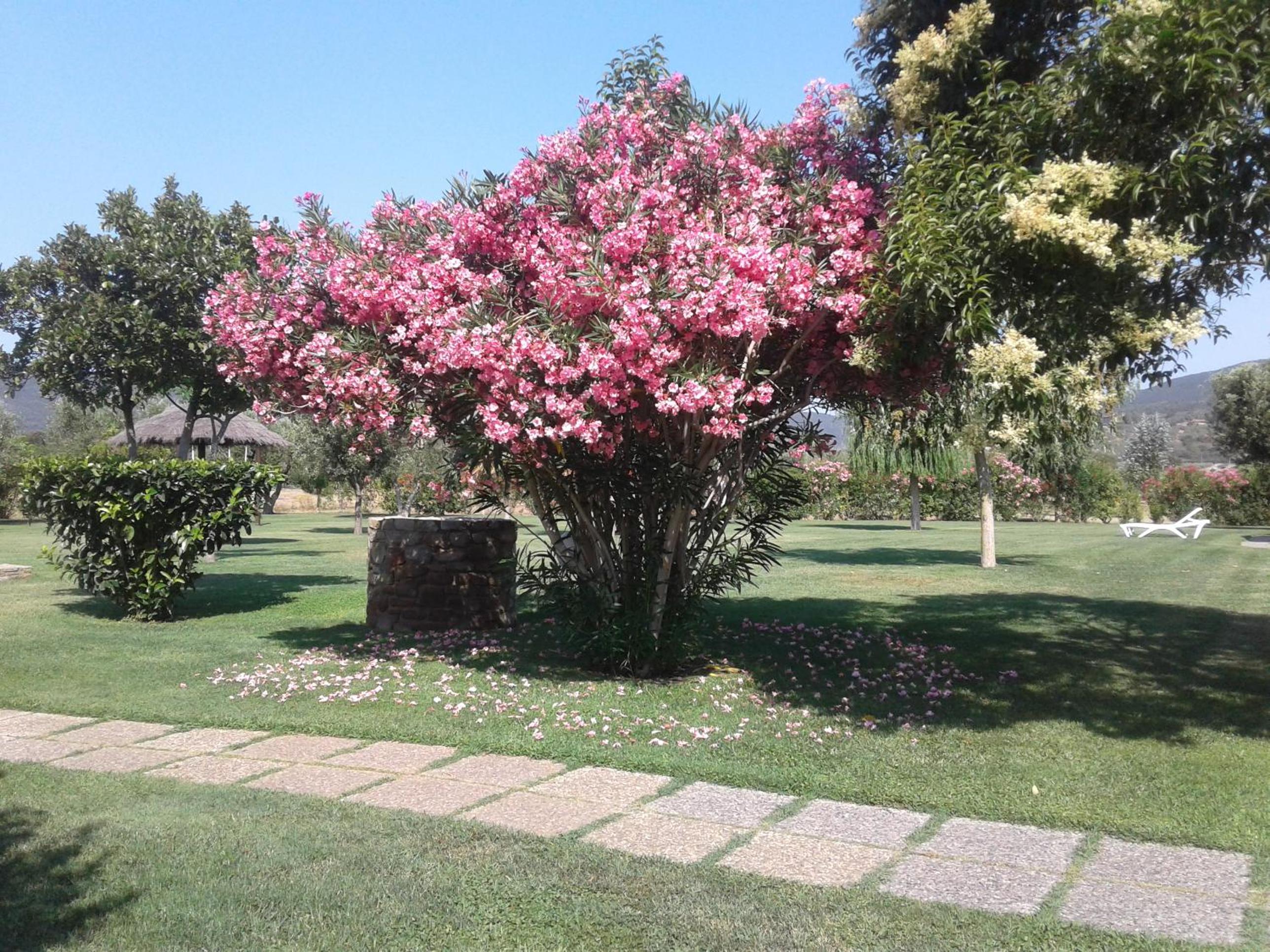 Agriturismo Bocci