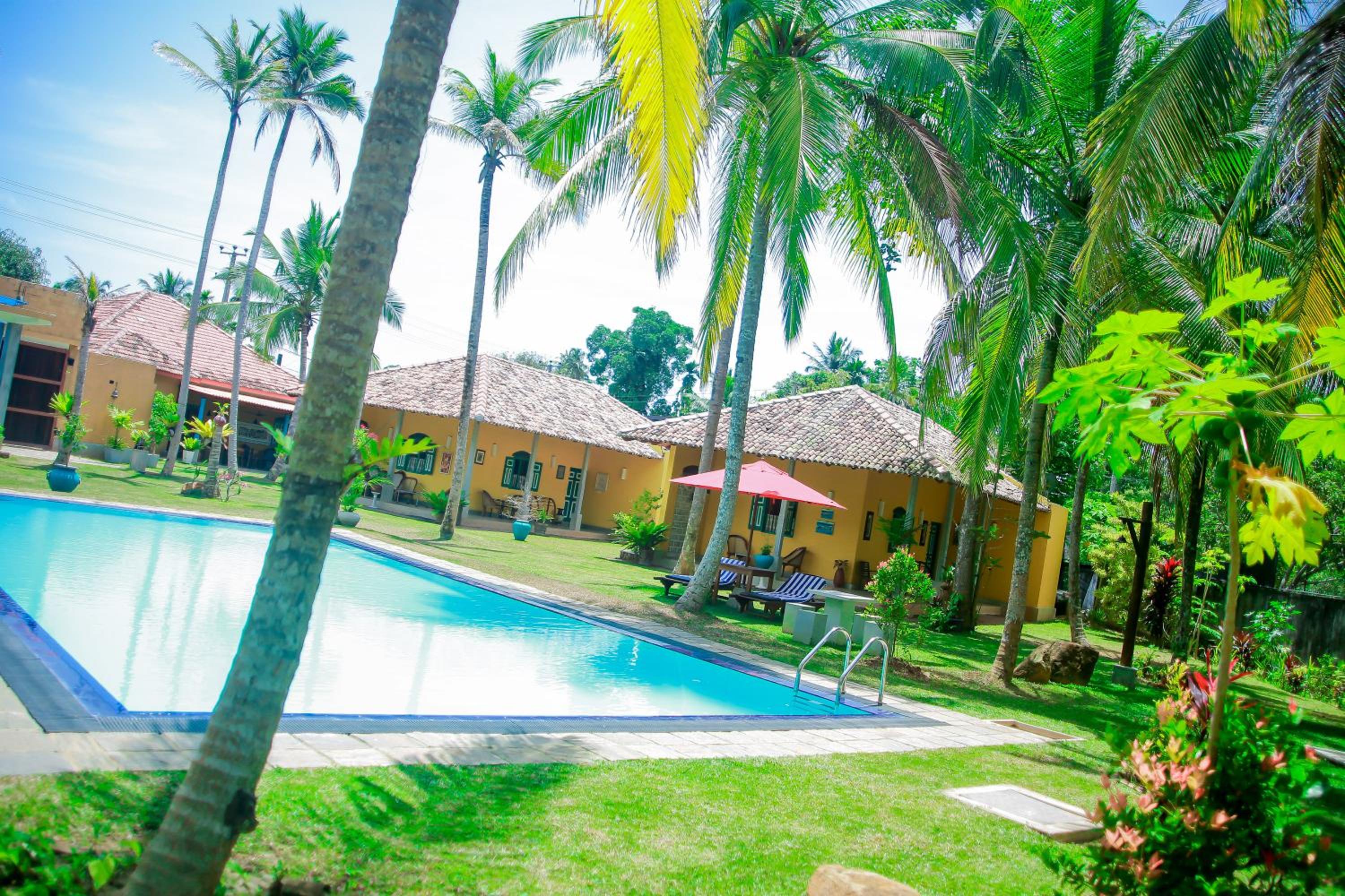 Photo 50