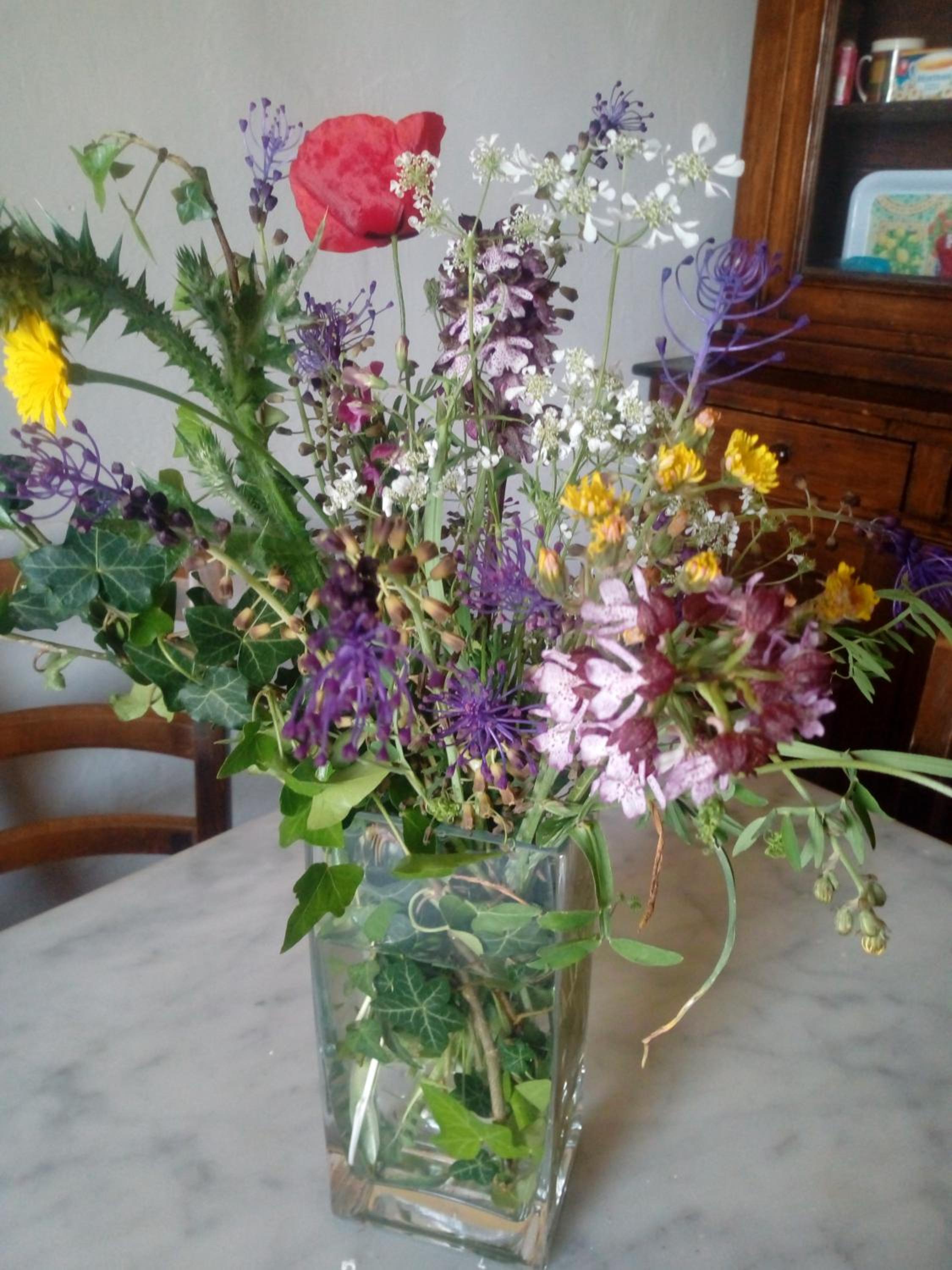 Villa Le Pergole- Firenze
