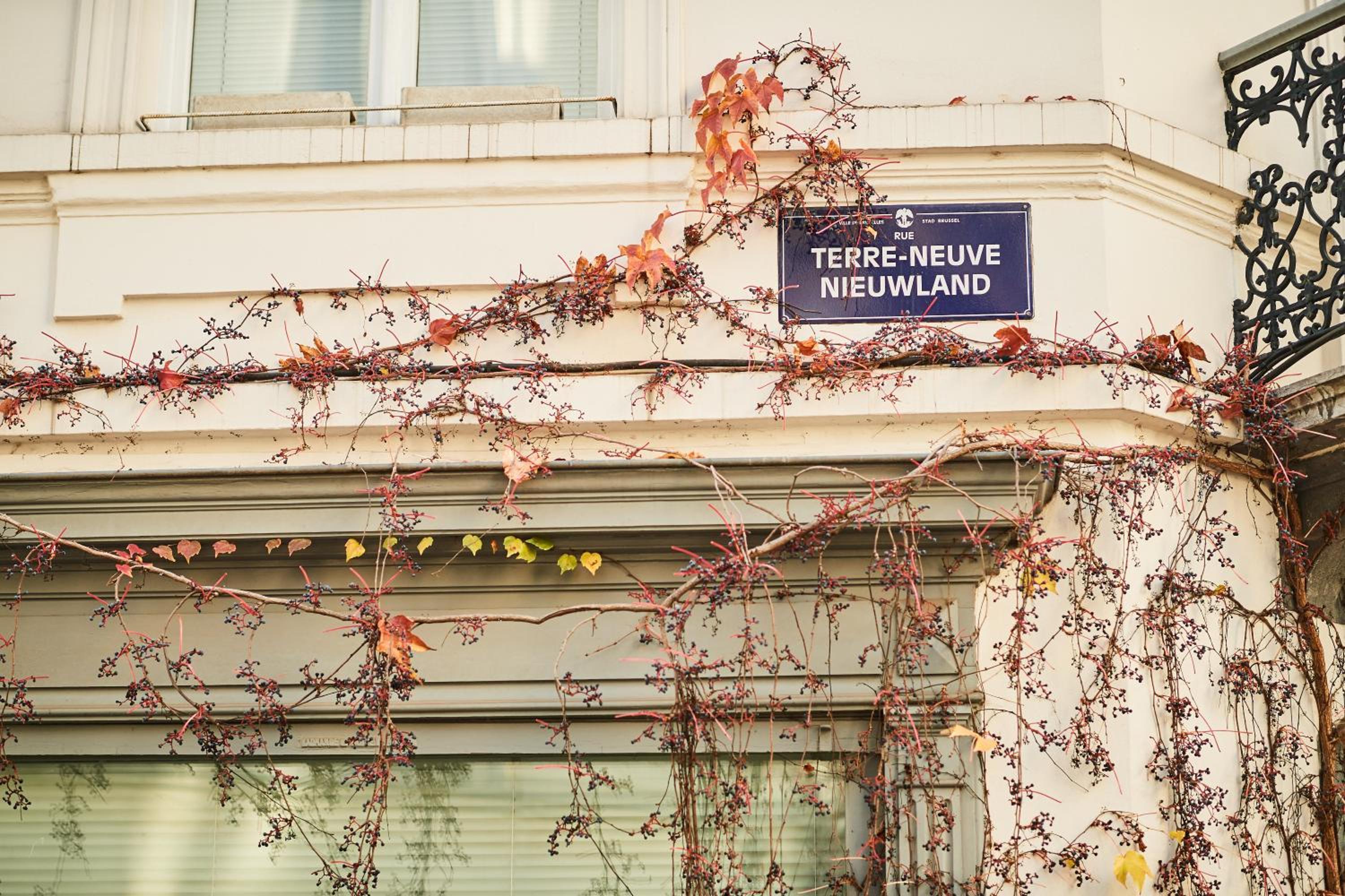 B&B X2Brussels