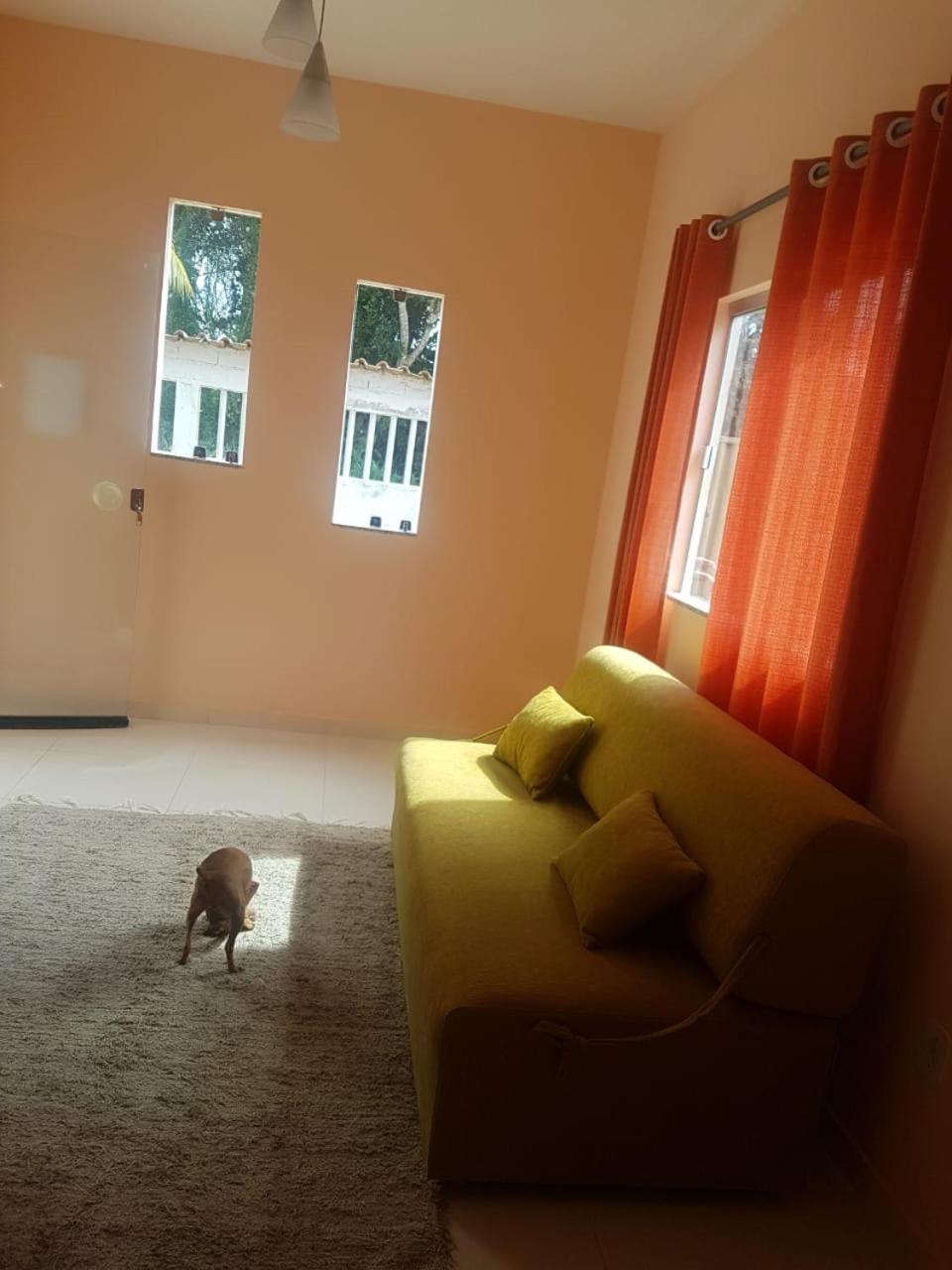 Flat - Coroa Vermelha