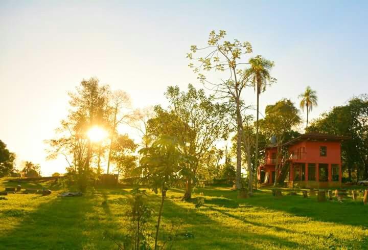 Nativa Iguazu