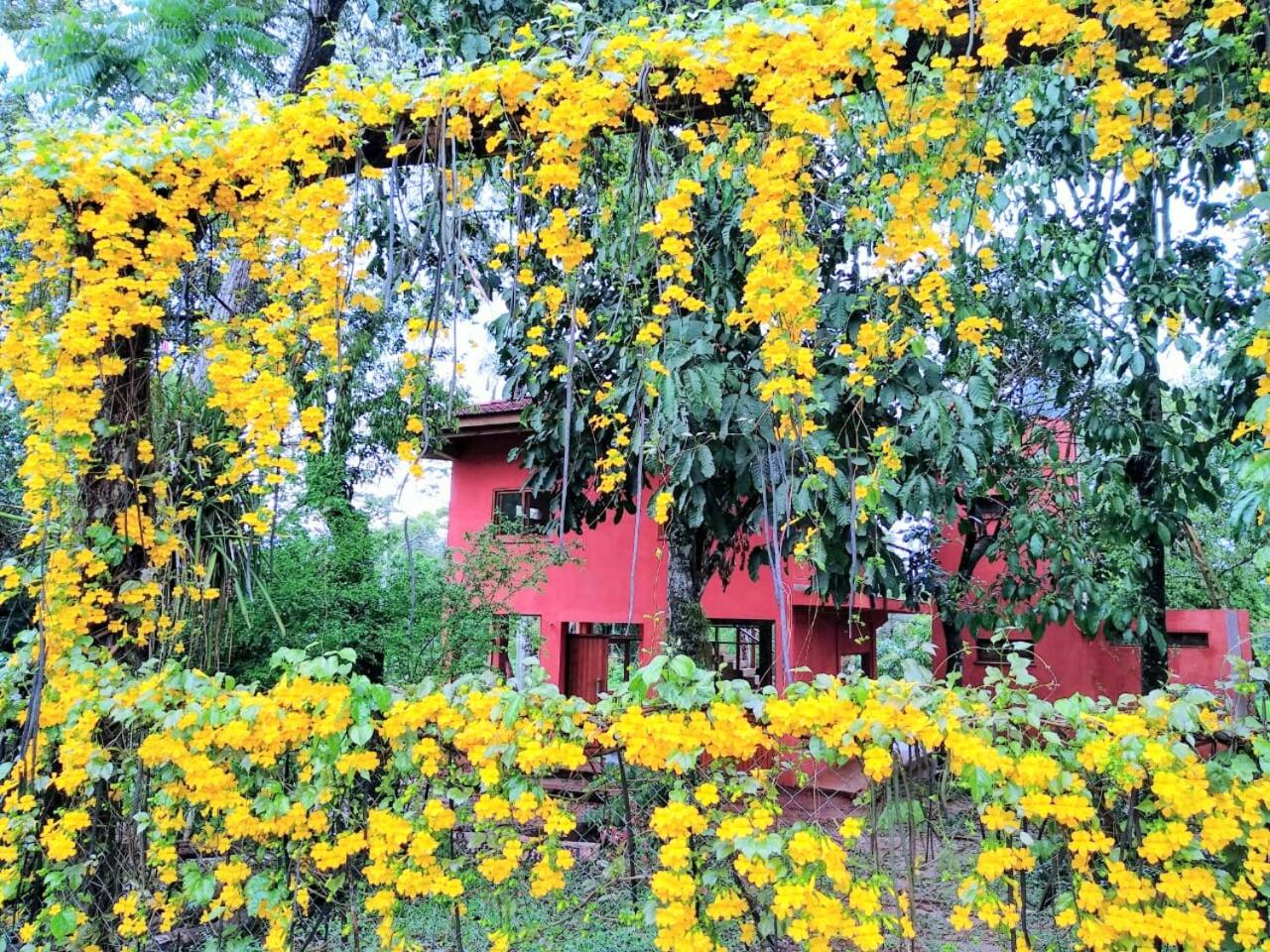 Nativa Iguazu