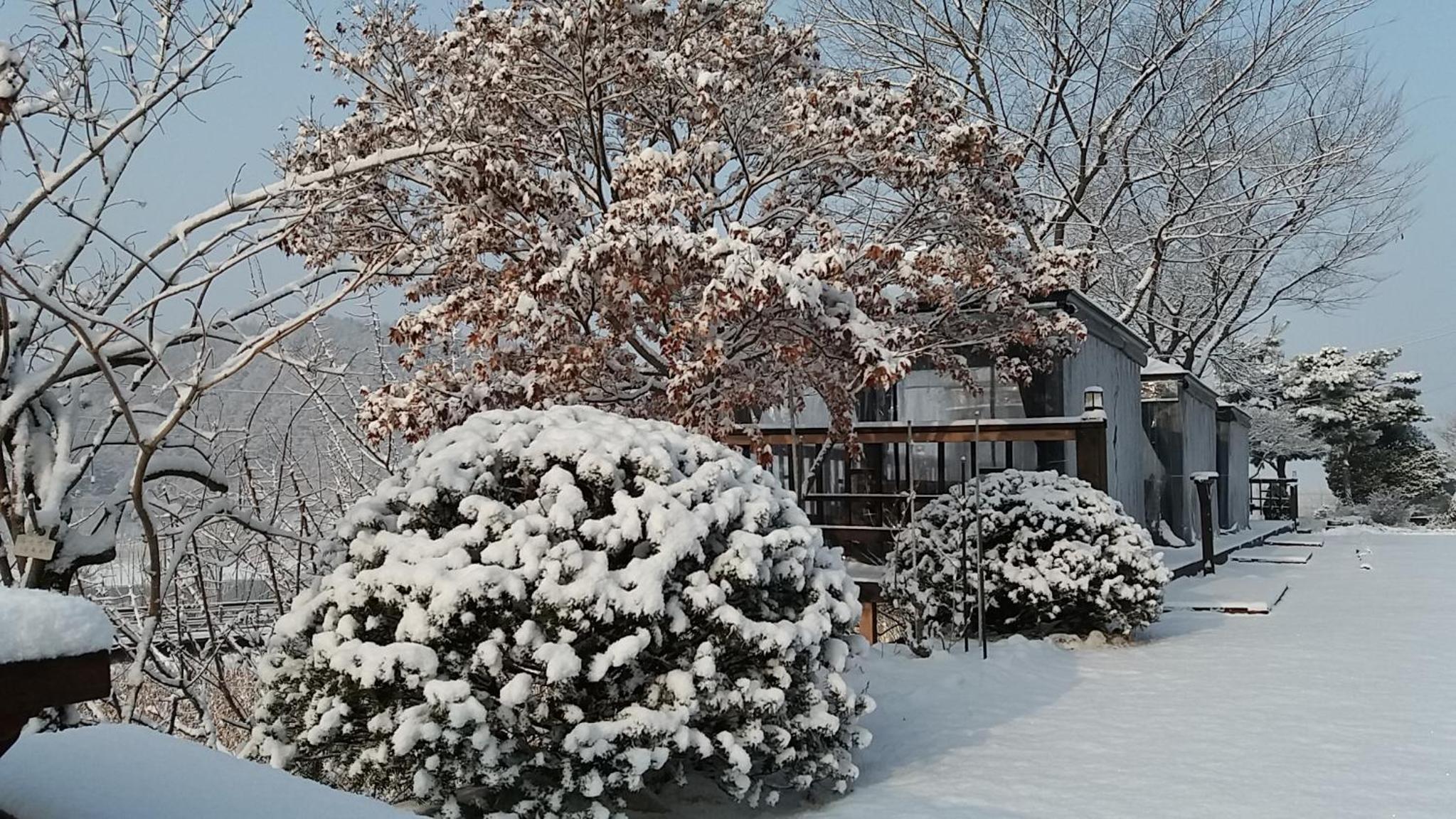 Forest of Color Pension