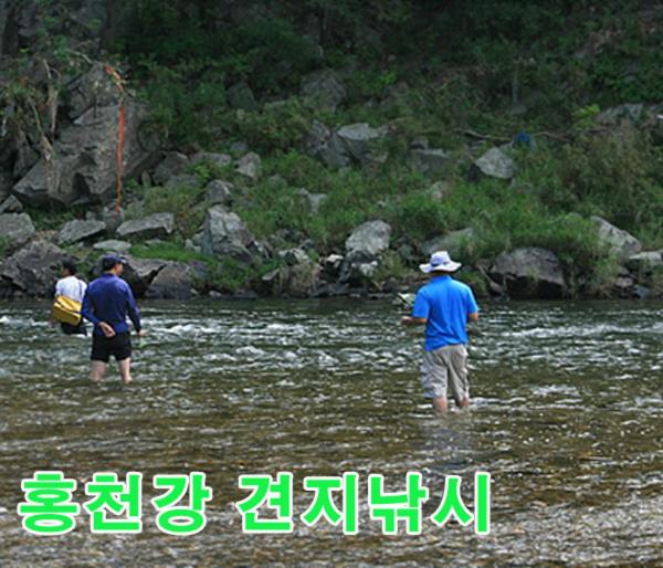 Forest of Color Pension
