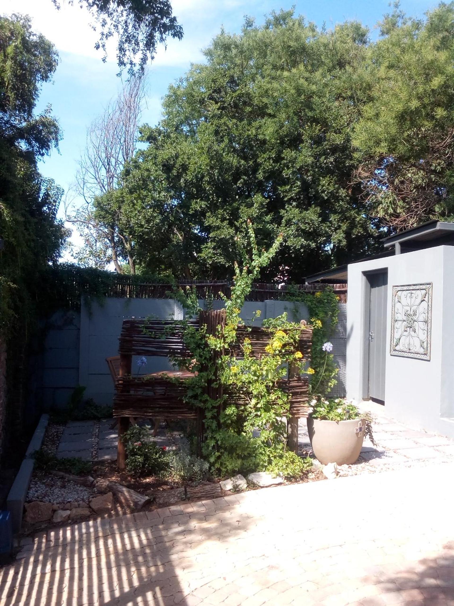 Tangled Tree Cottage view 2
