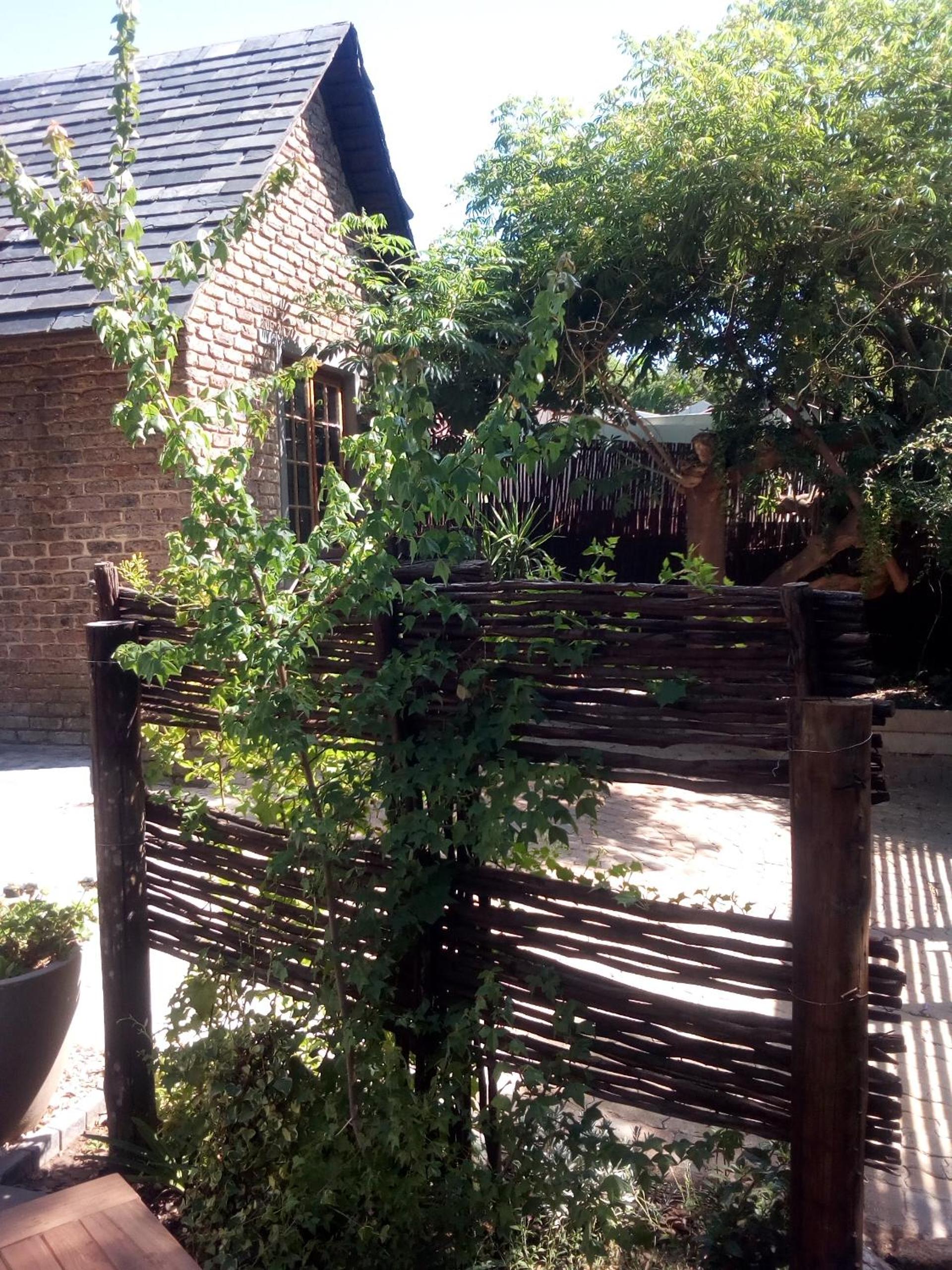 Tangled Tree Cottage view 4