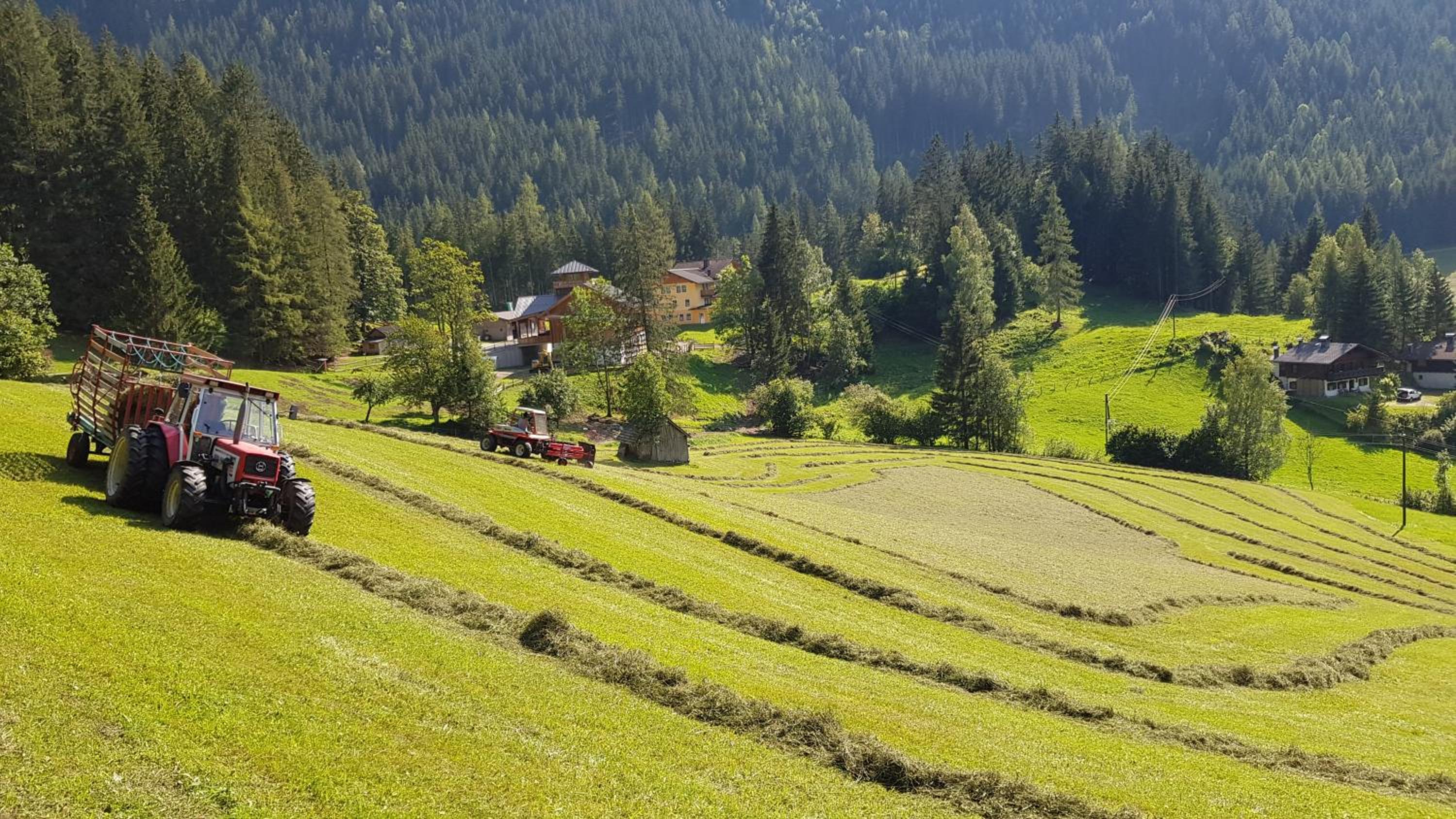 Schieplechnerhof