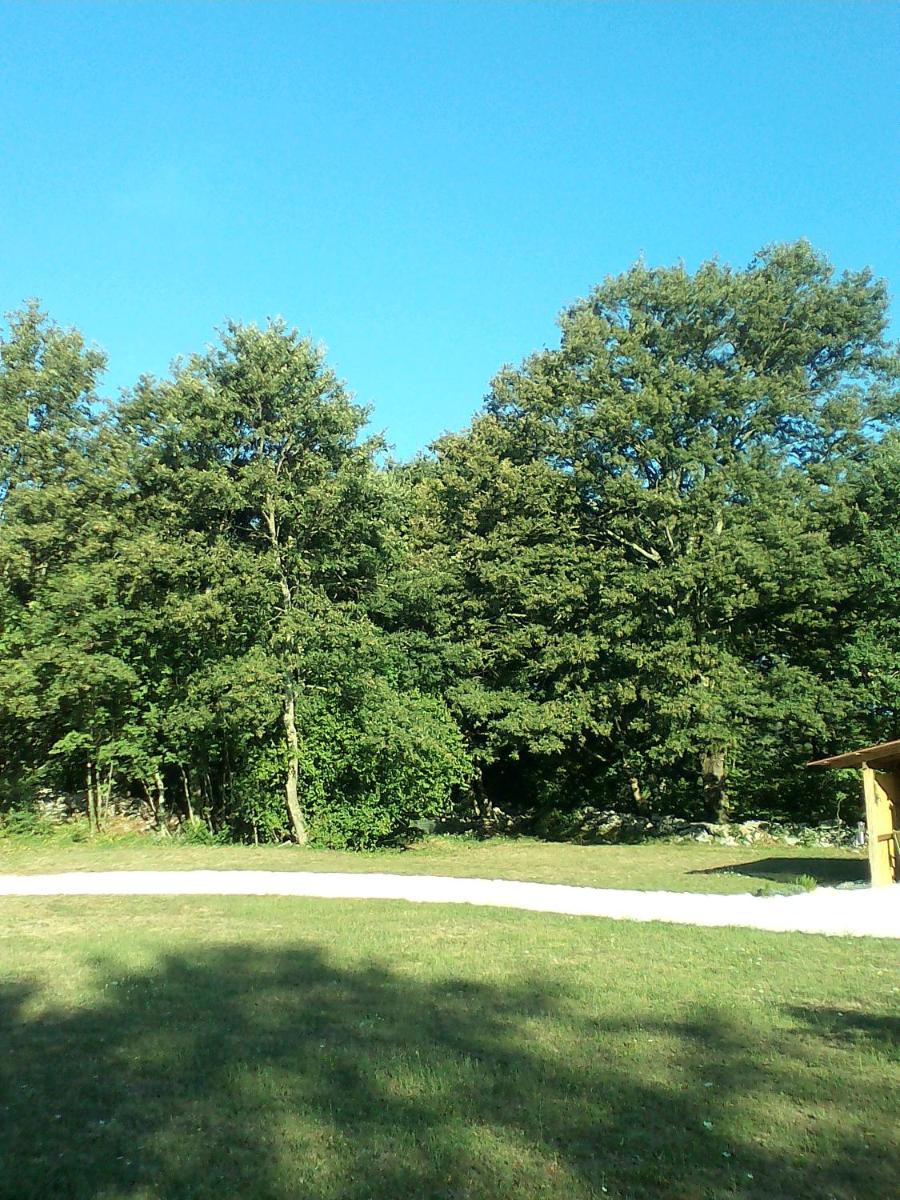 Photo 47