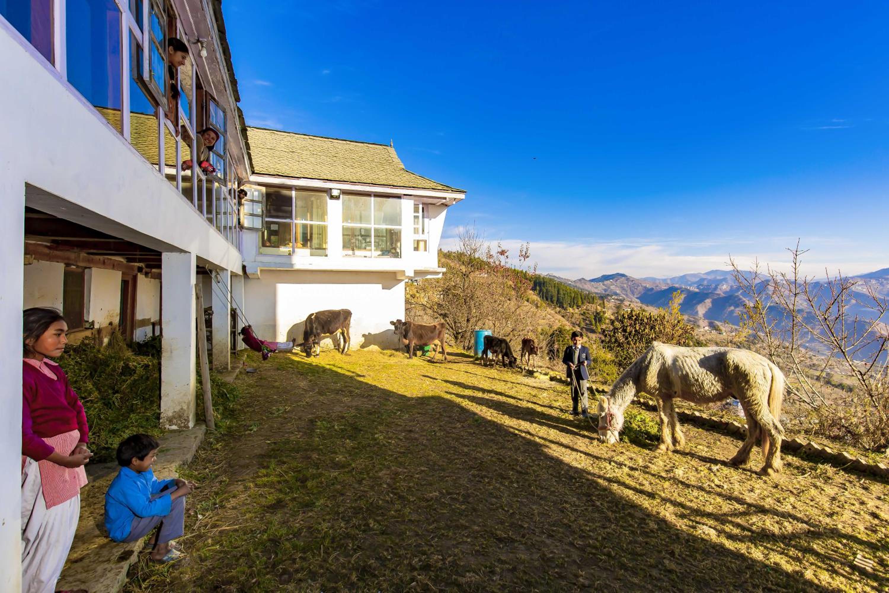Zostel Homes Cheog, Shimla view 4