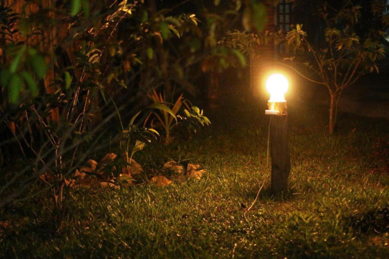 Photo 44