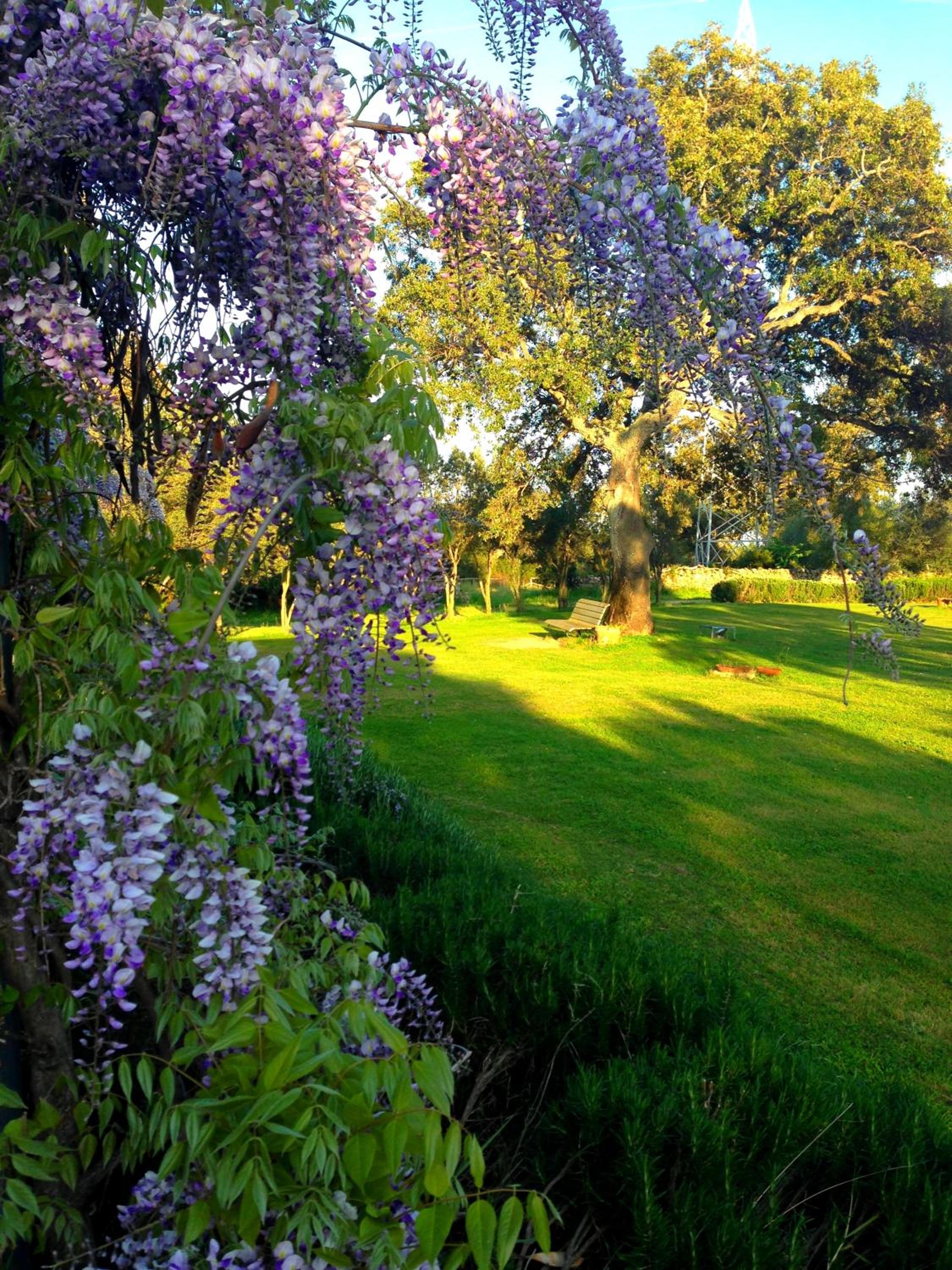 Agriturismo Li Scopi