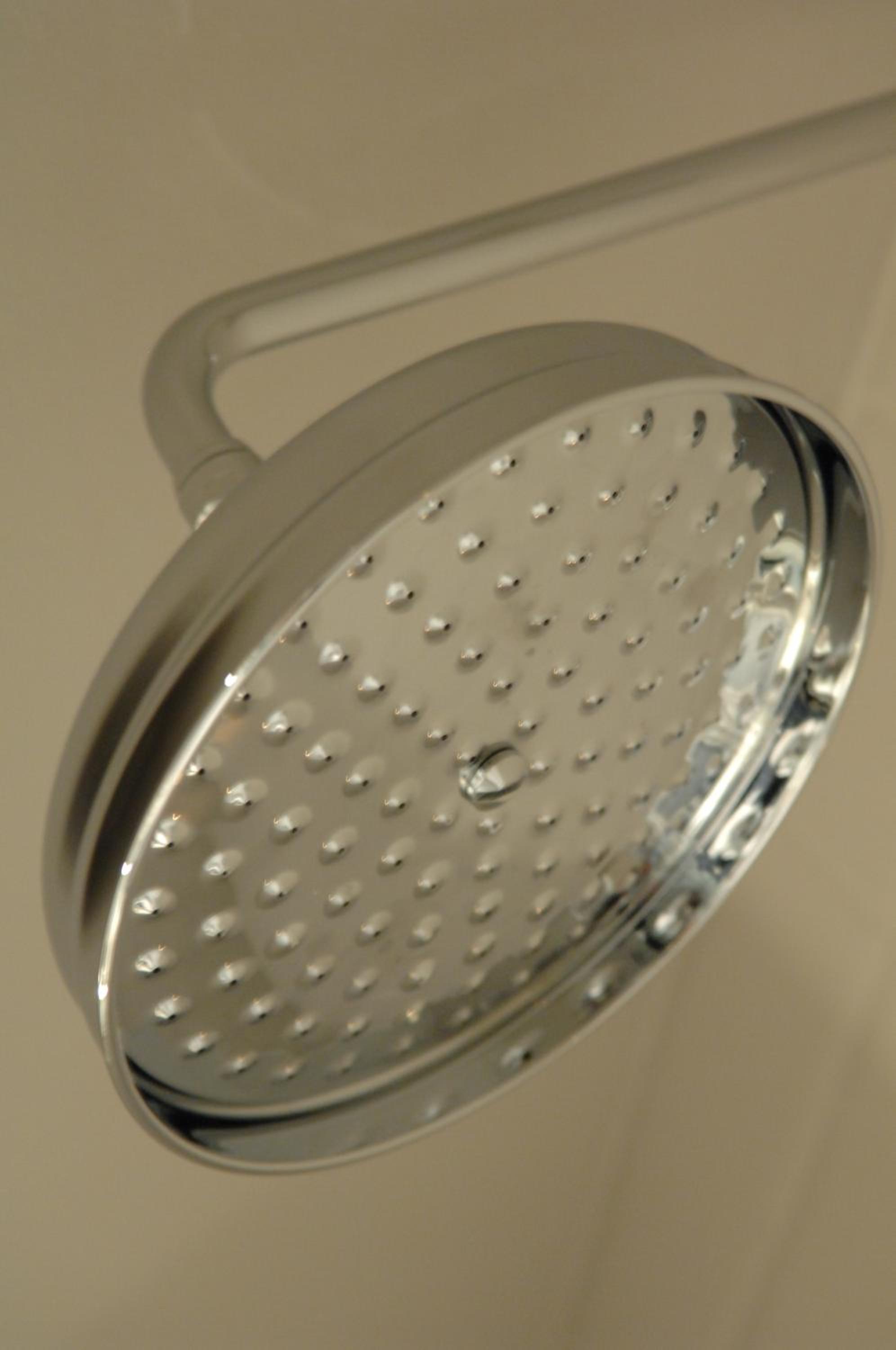 De Waterzooi Suites