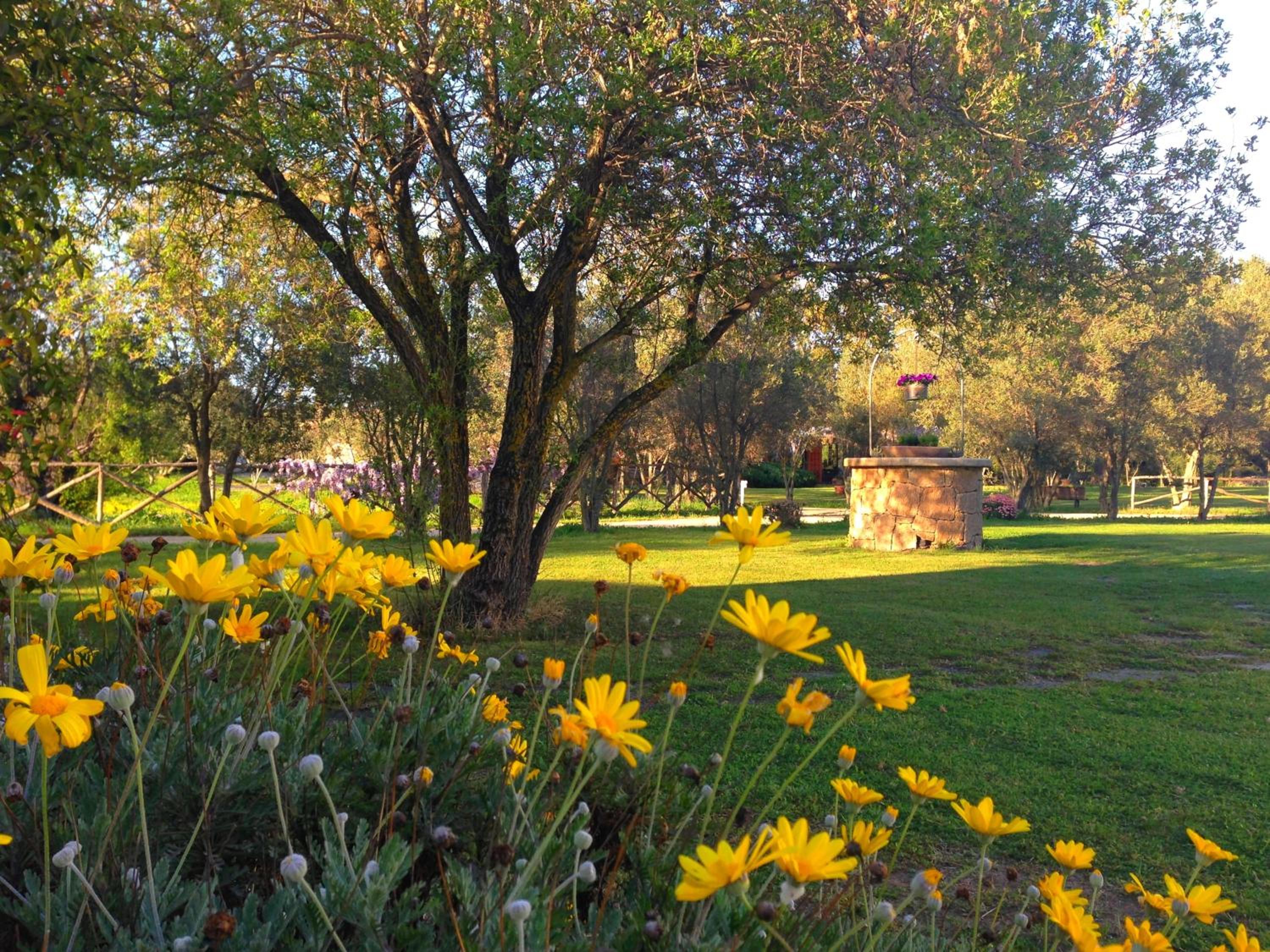 Agriturismo Li Scopi