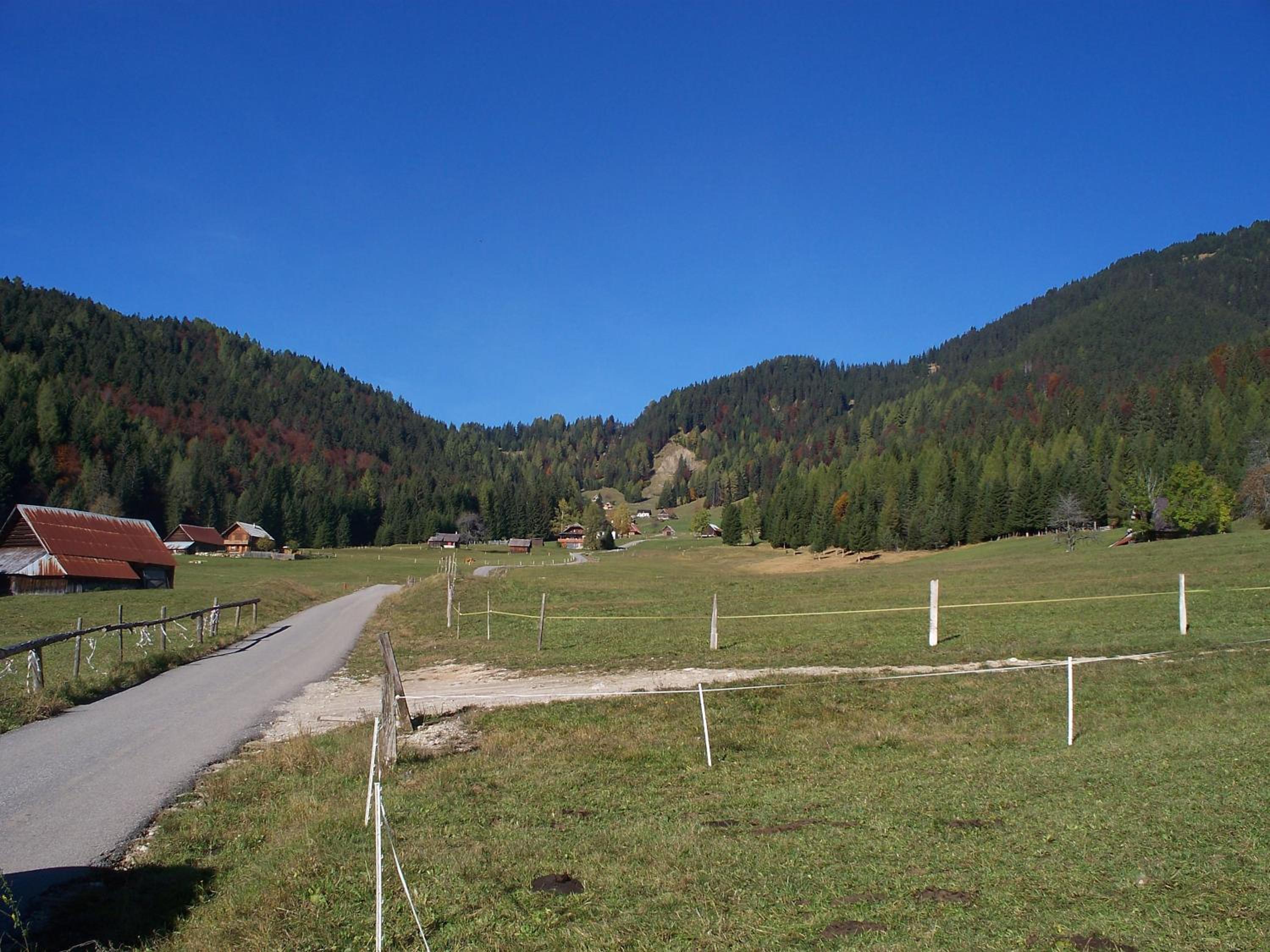 Photo 21