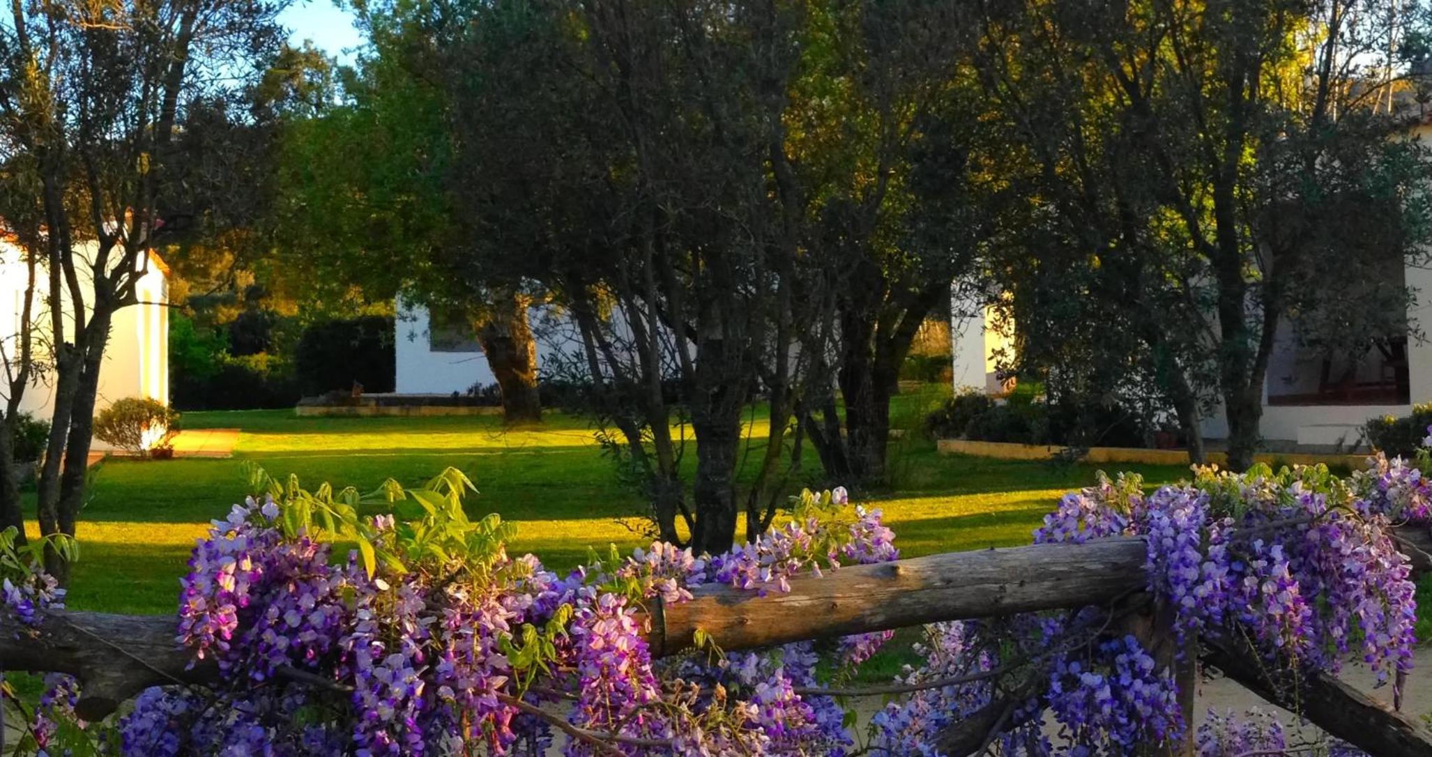 Agriturismo Li Scopi