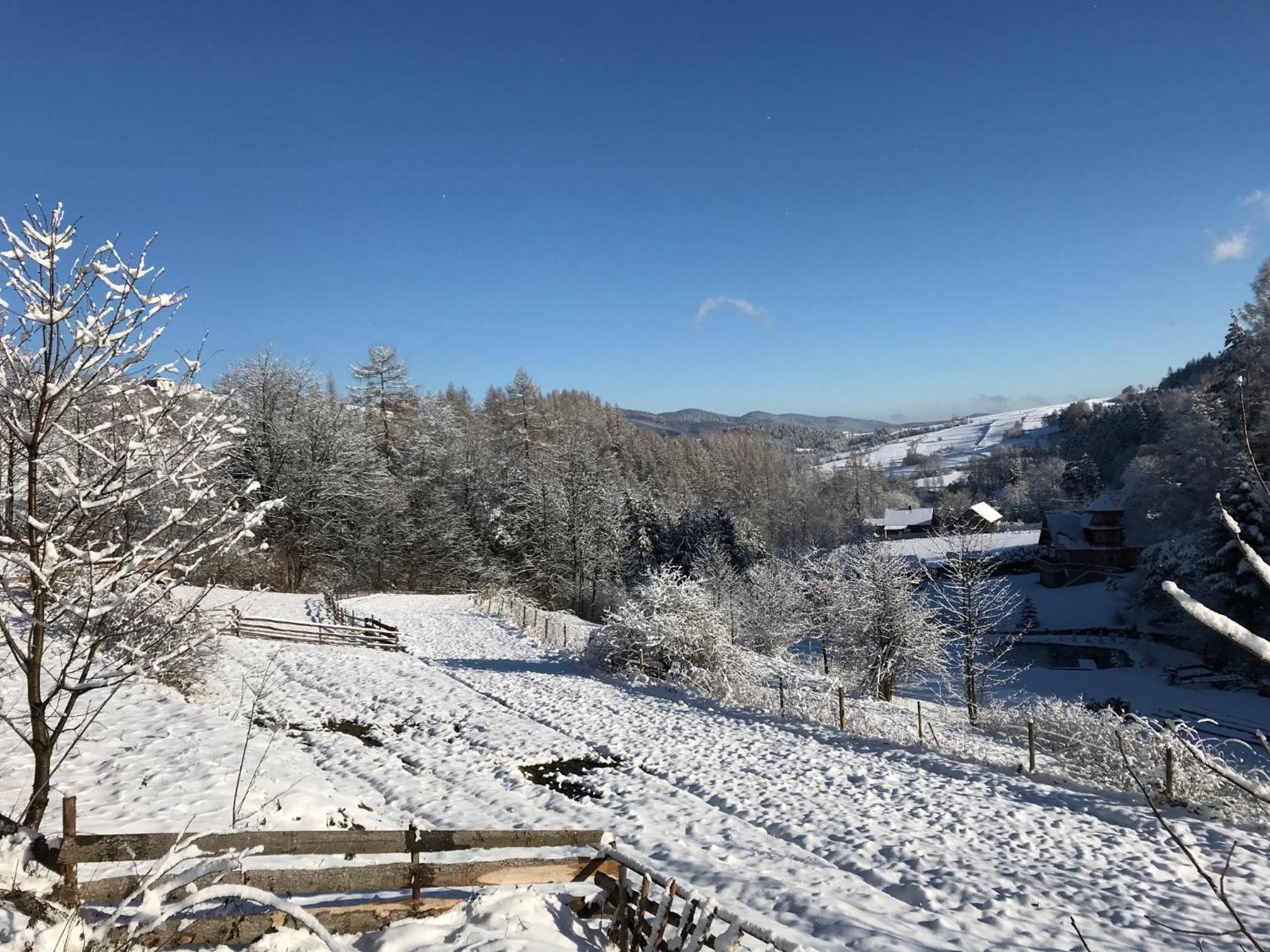 Pasieka - Dom Wypoczynkowy - Property Image 45