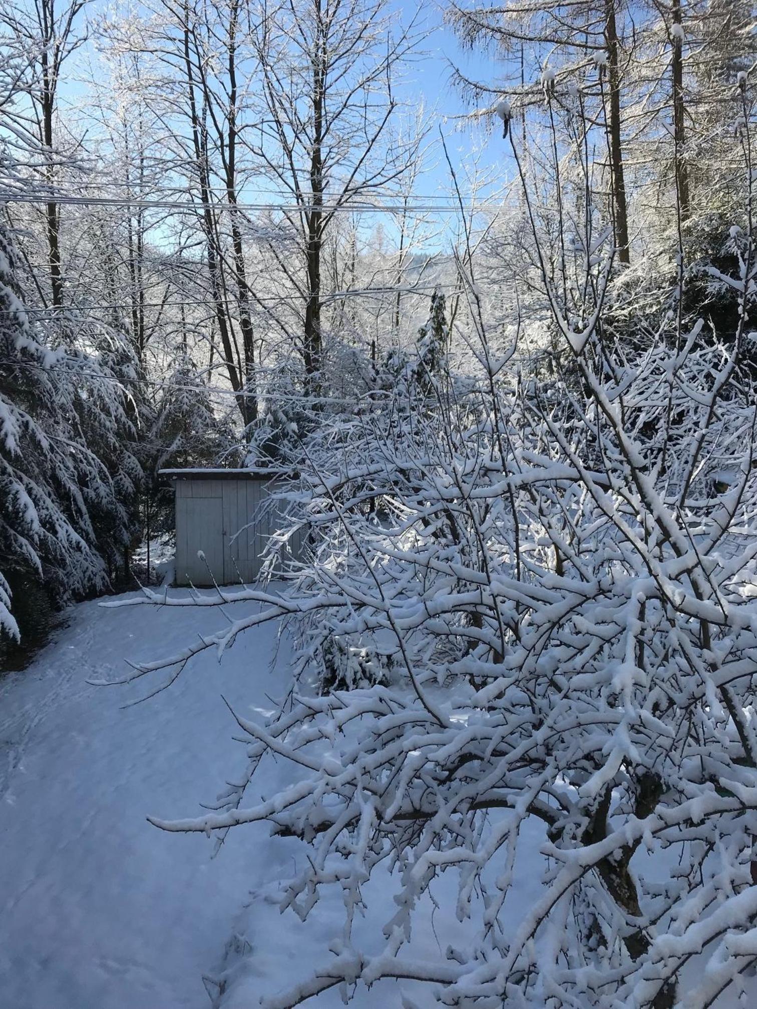 Pasieka - Dom Wypoczynkowy - Property Image 48