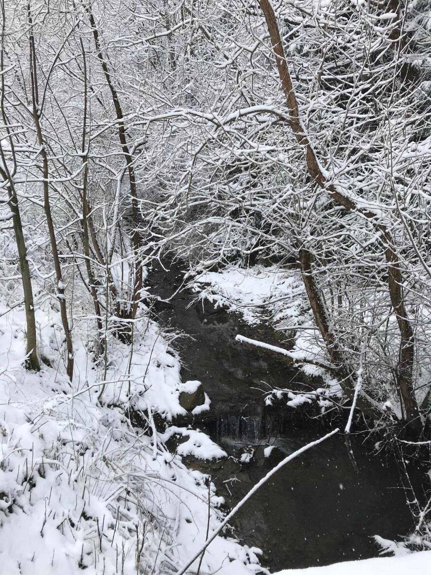 Pasieka - Dom Wypoczynkowy - Property Image 2