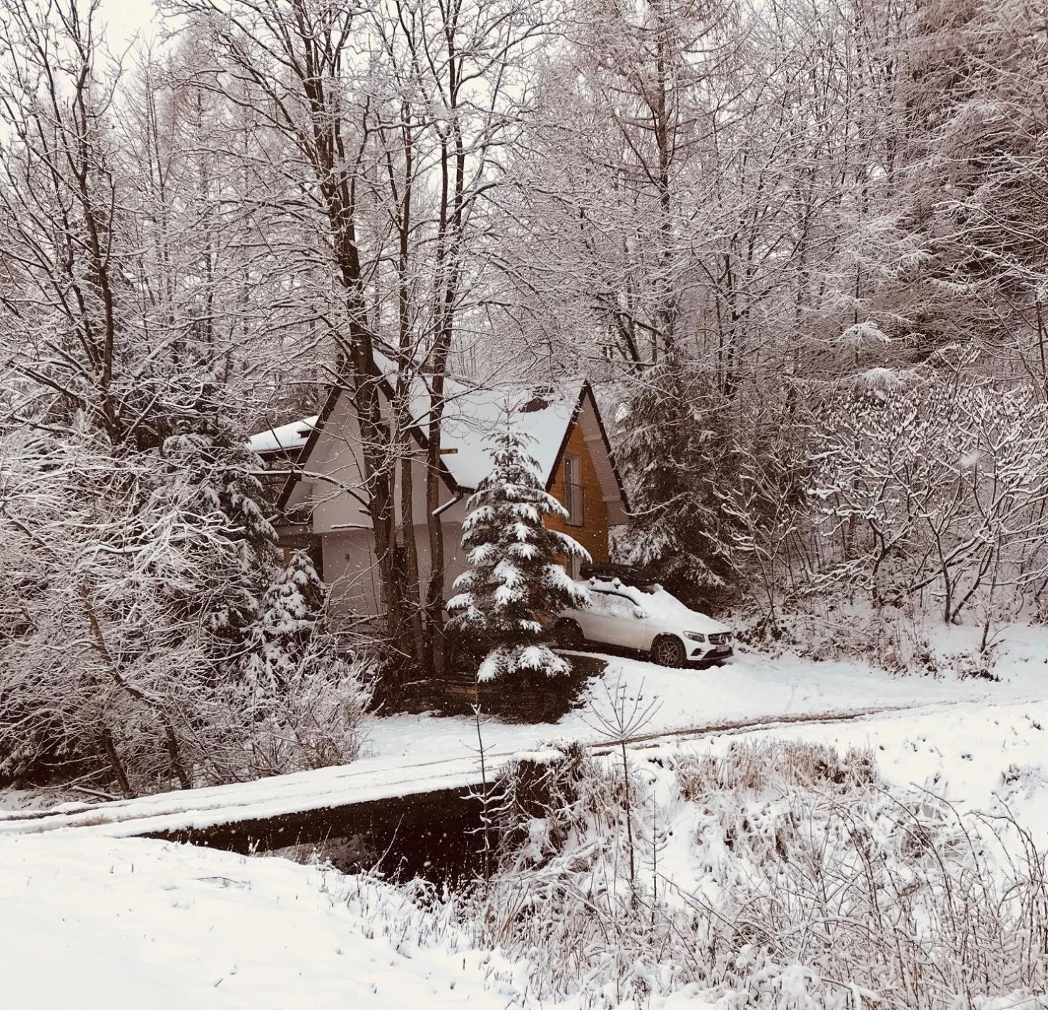 Pasieka - Dom Wypoczynkowy - Property Image 14