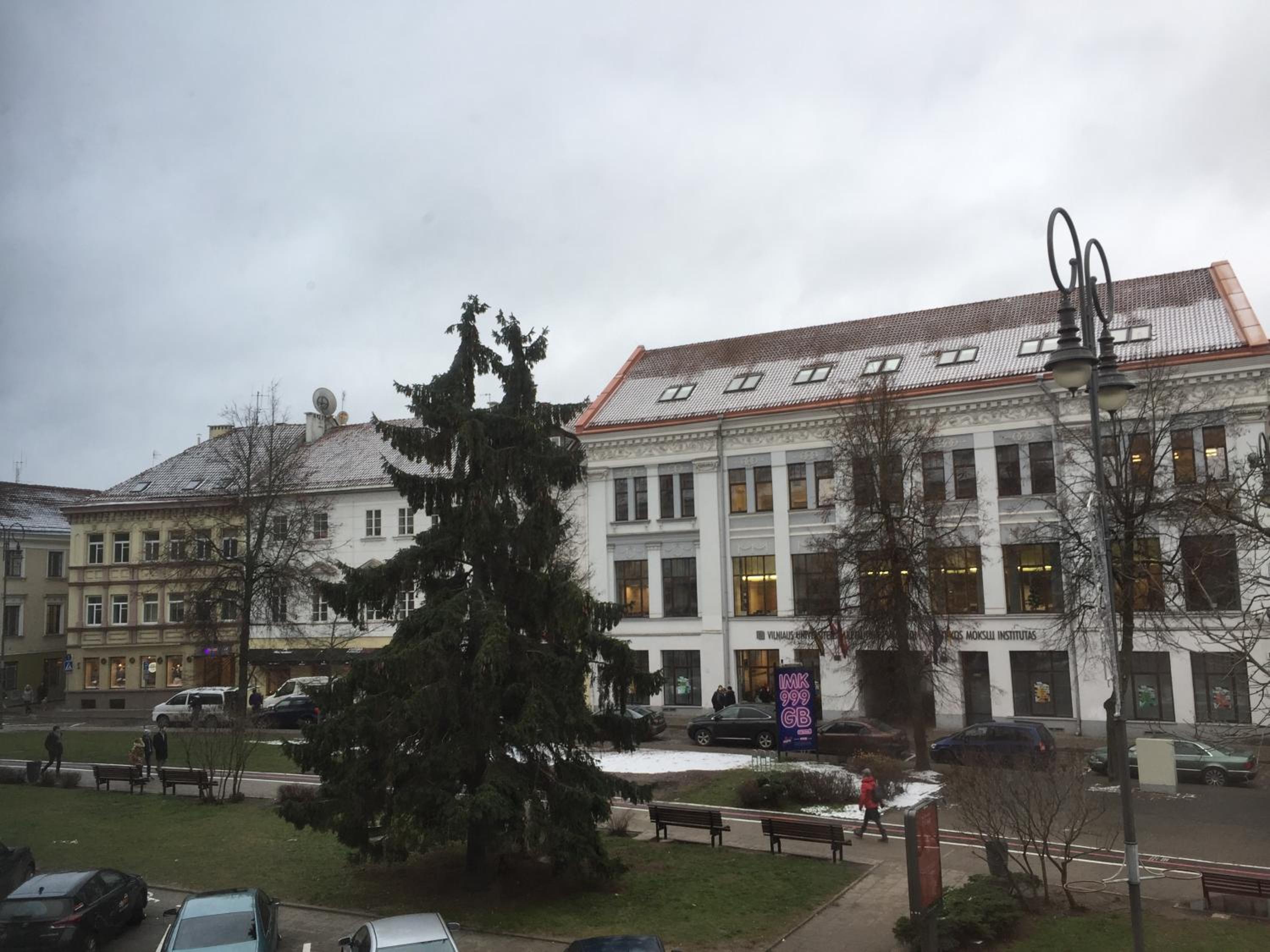 Photo 16
