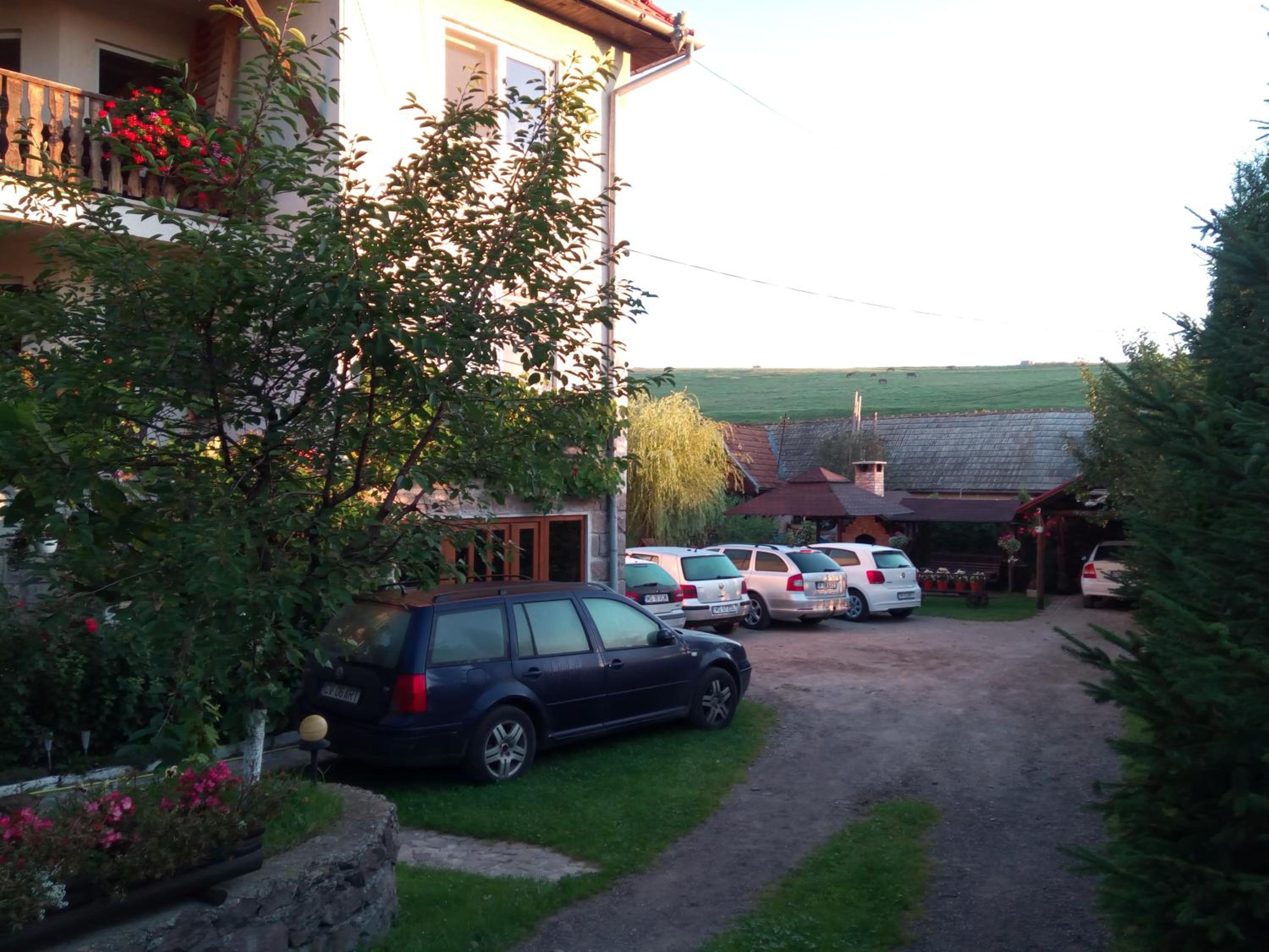 Photo 41
