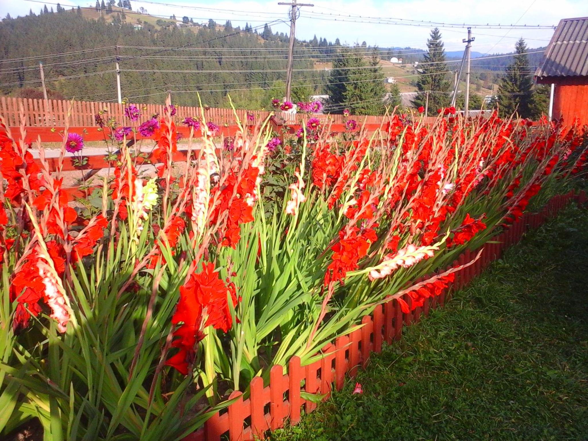 Romashka Guest House view 2