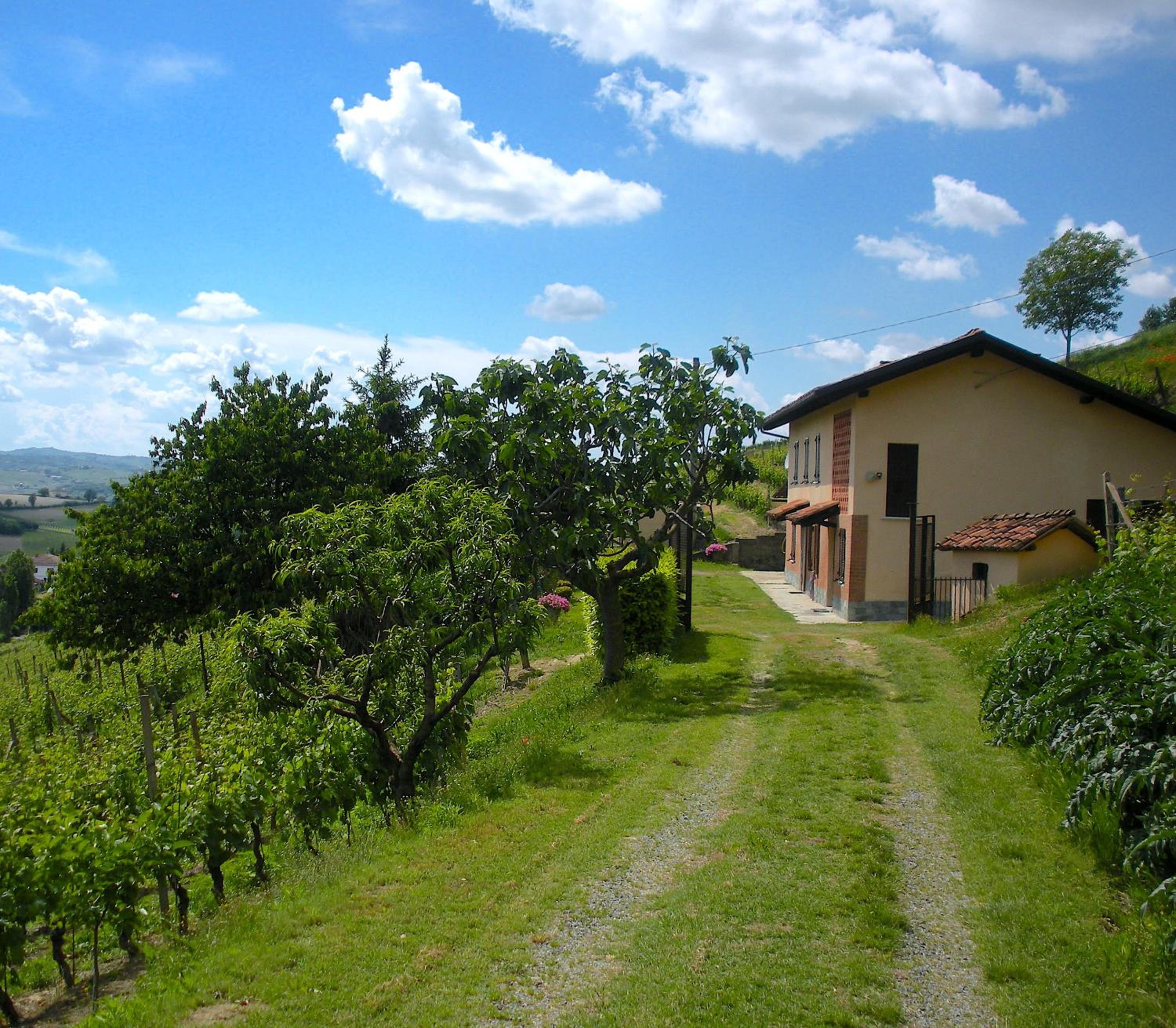 Cascina tra i vigneti a Nizza Monferrato, photo 5