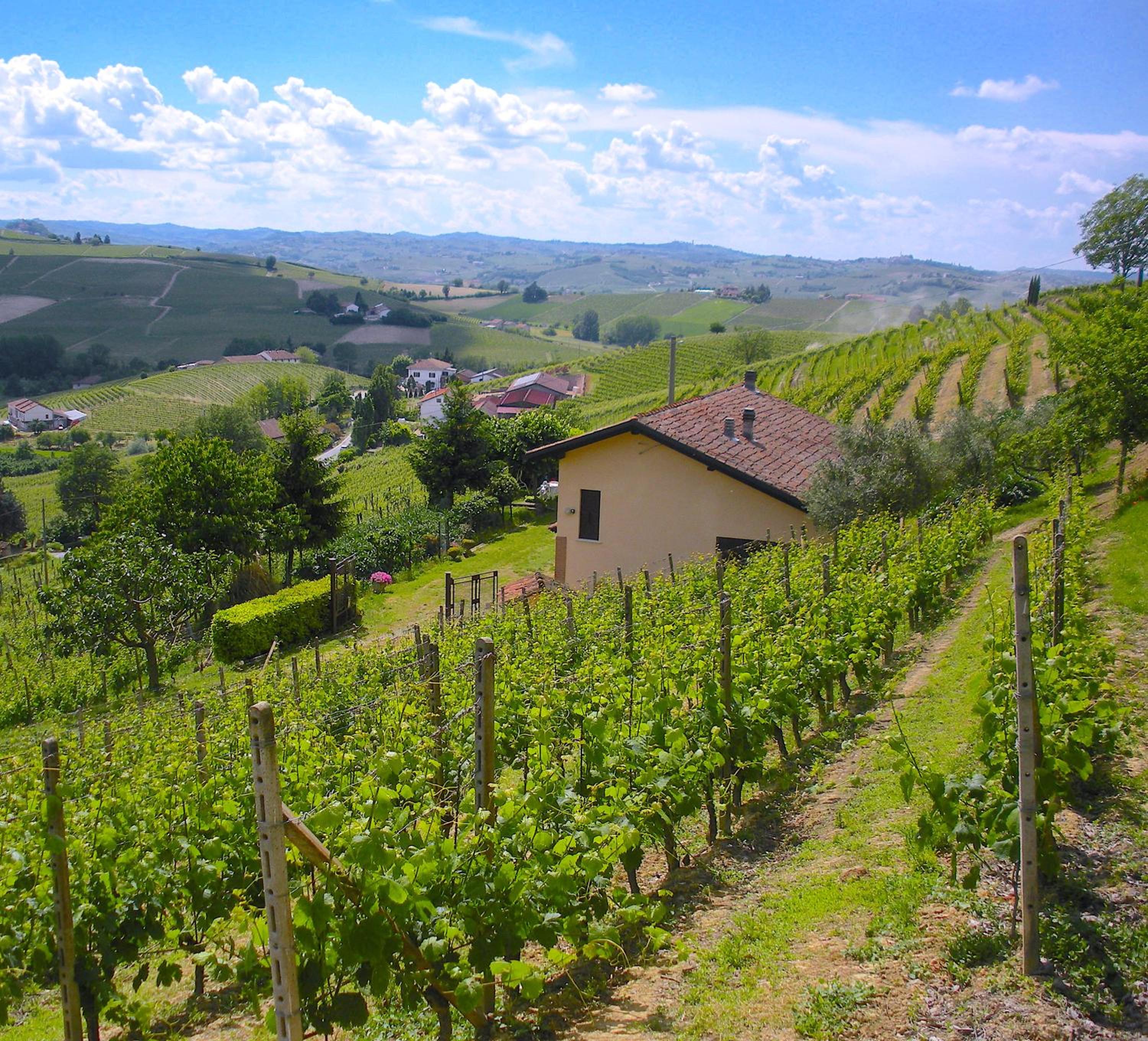 Cascina tra i vigneti a Nizza Monferrato, photo 37