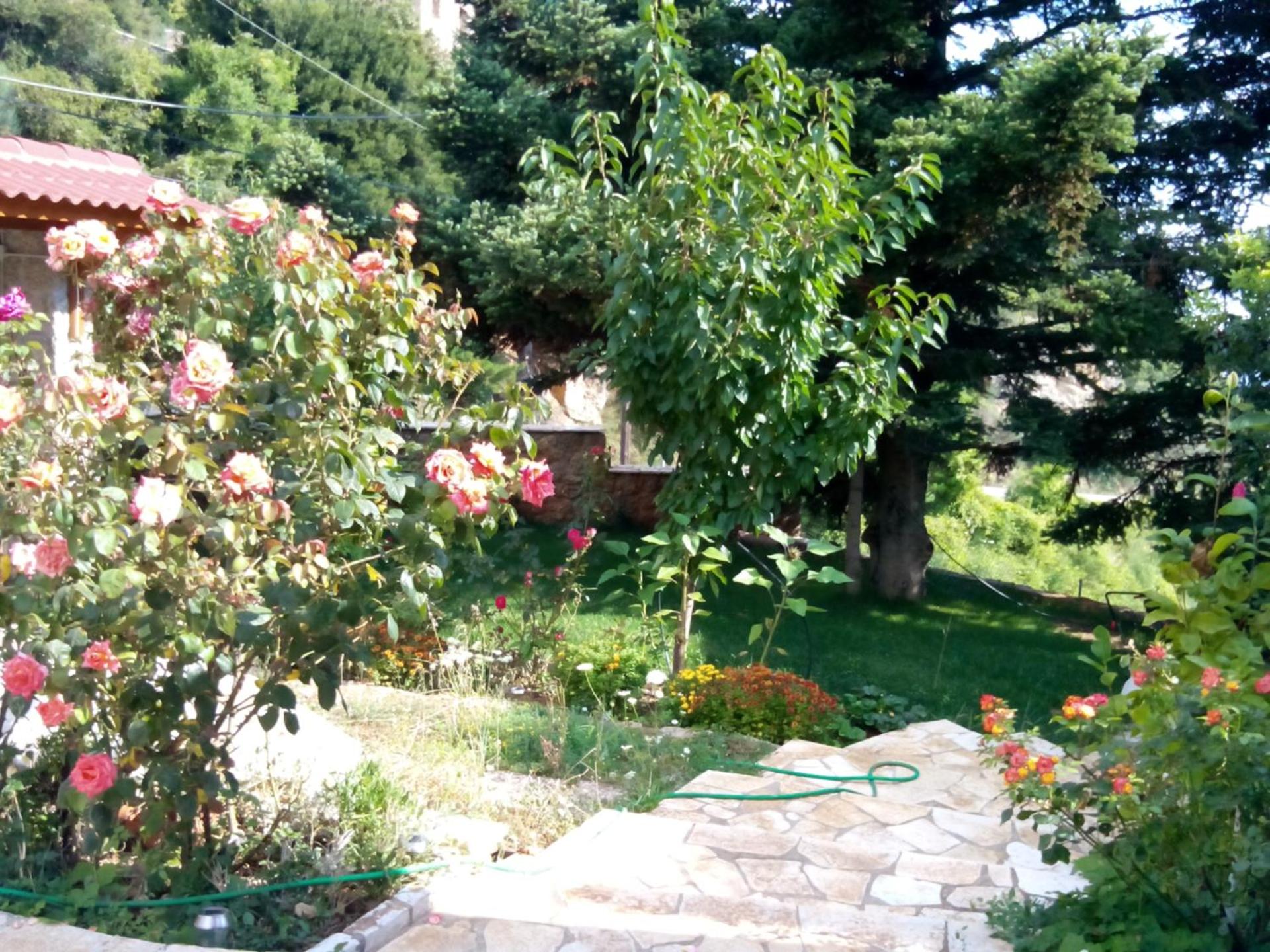 Photo 26
