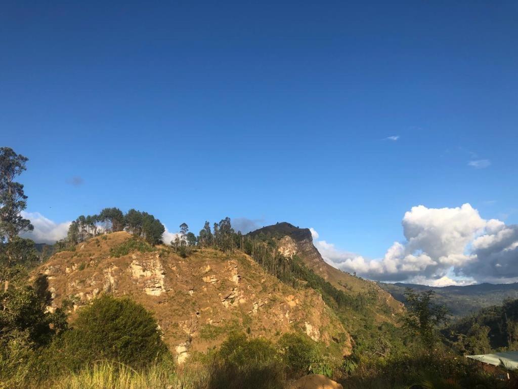 Hotel Campestre mirador CaloPala