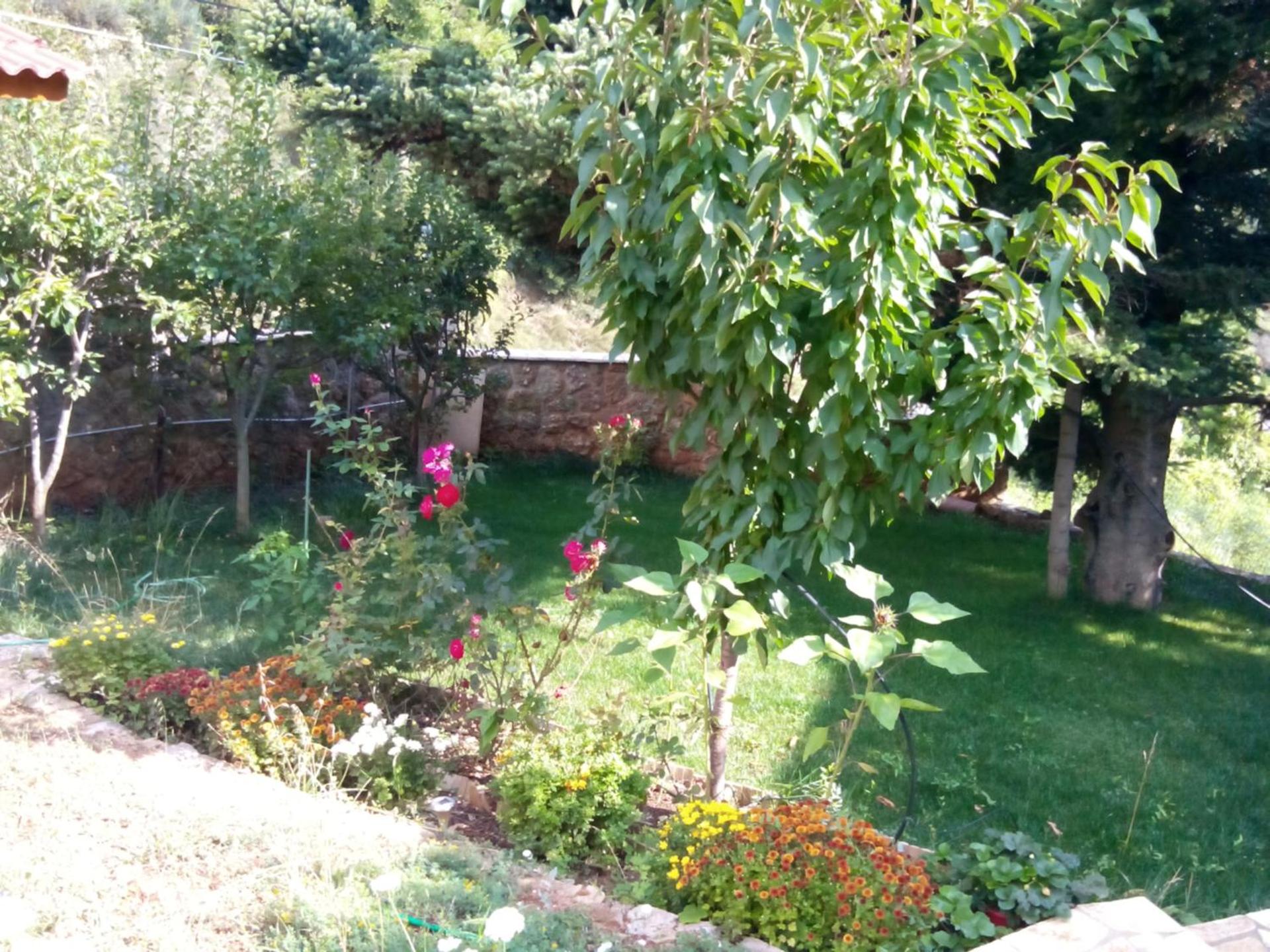 Photo 28