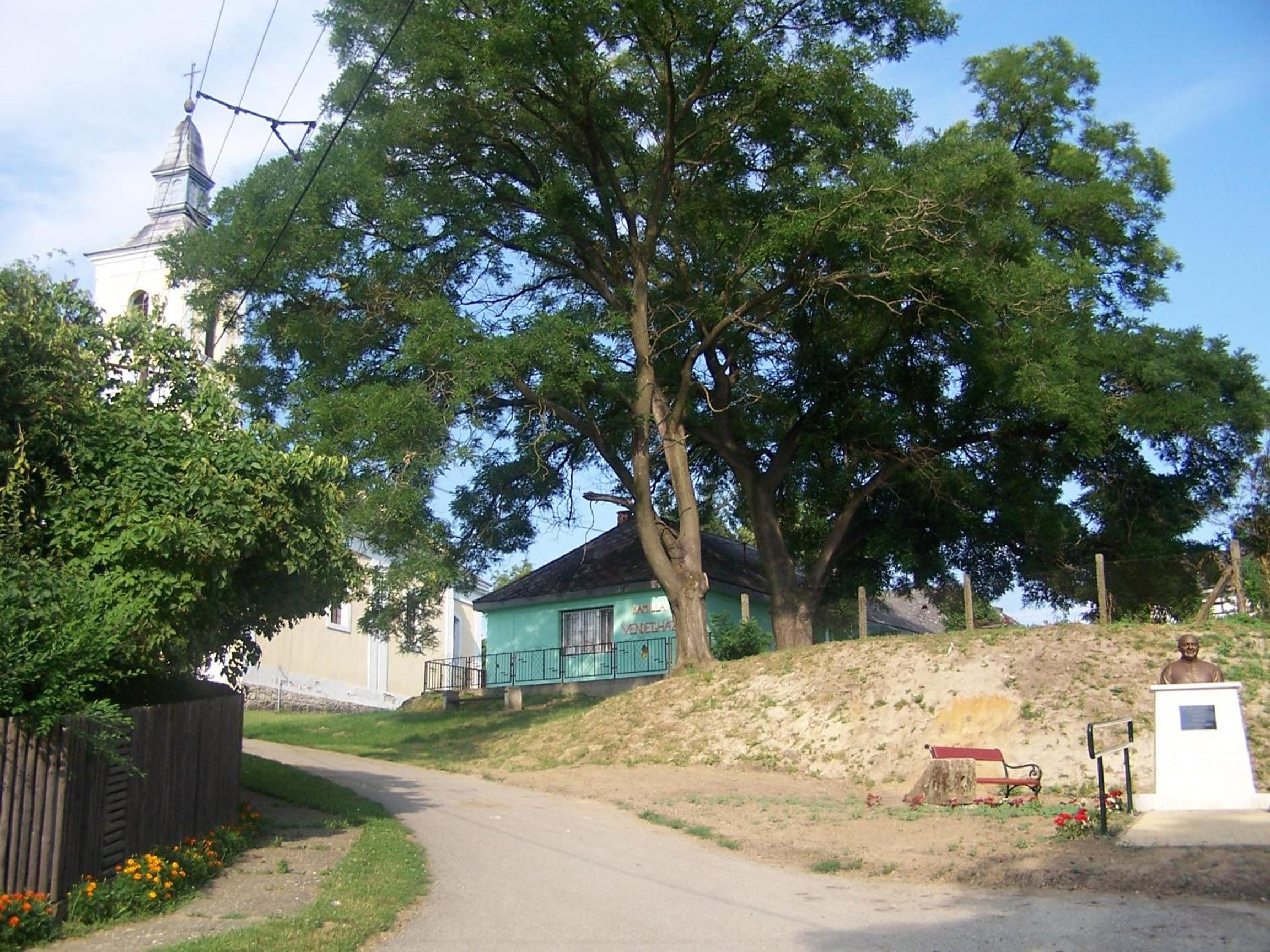 Photo 19